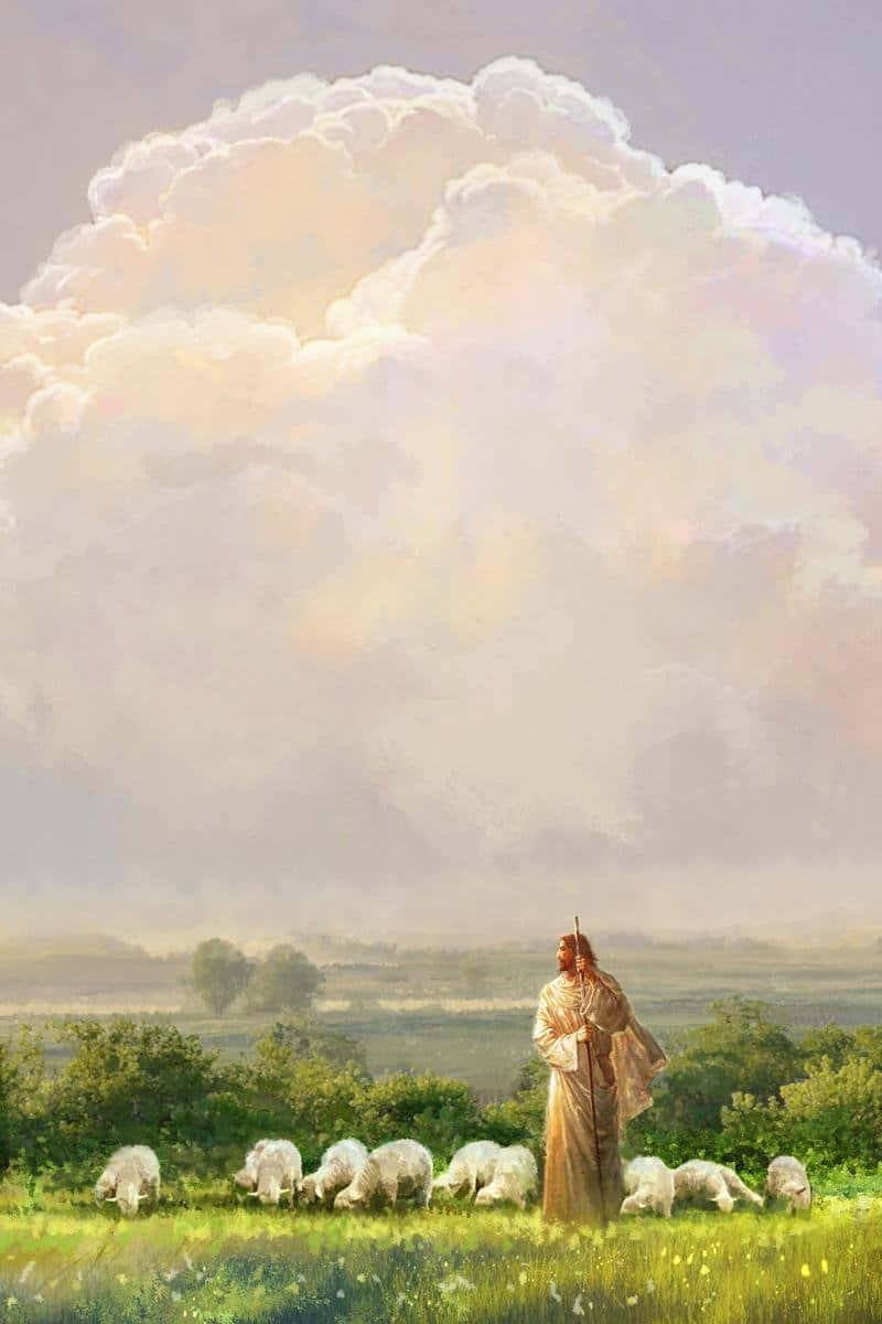 Download Jesus lovingly guiding His sheep Wallpaper