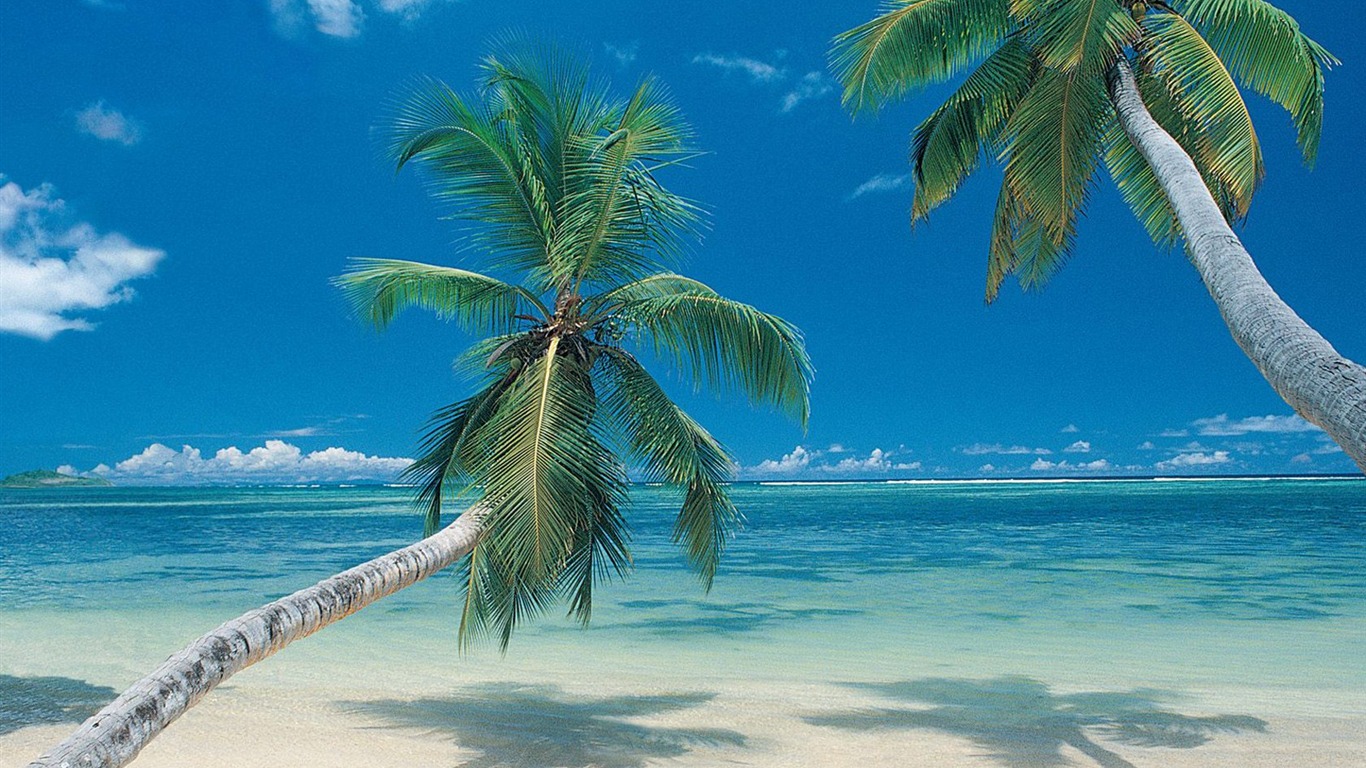 Mexico- widow Beach Wallpaper
