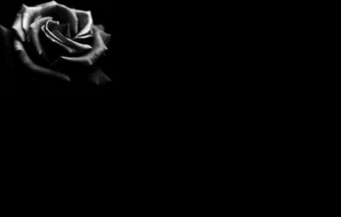 Most beautiful black roses in the world for Wish