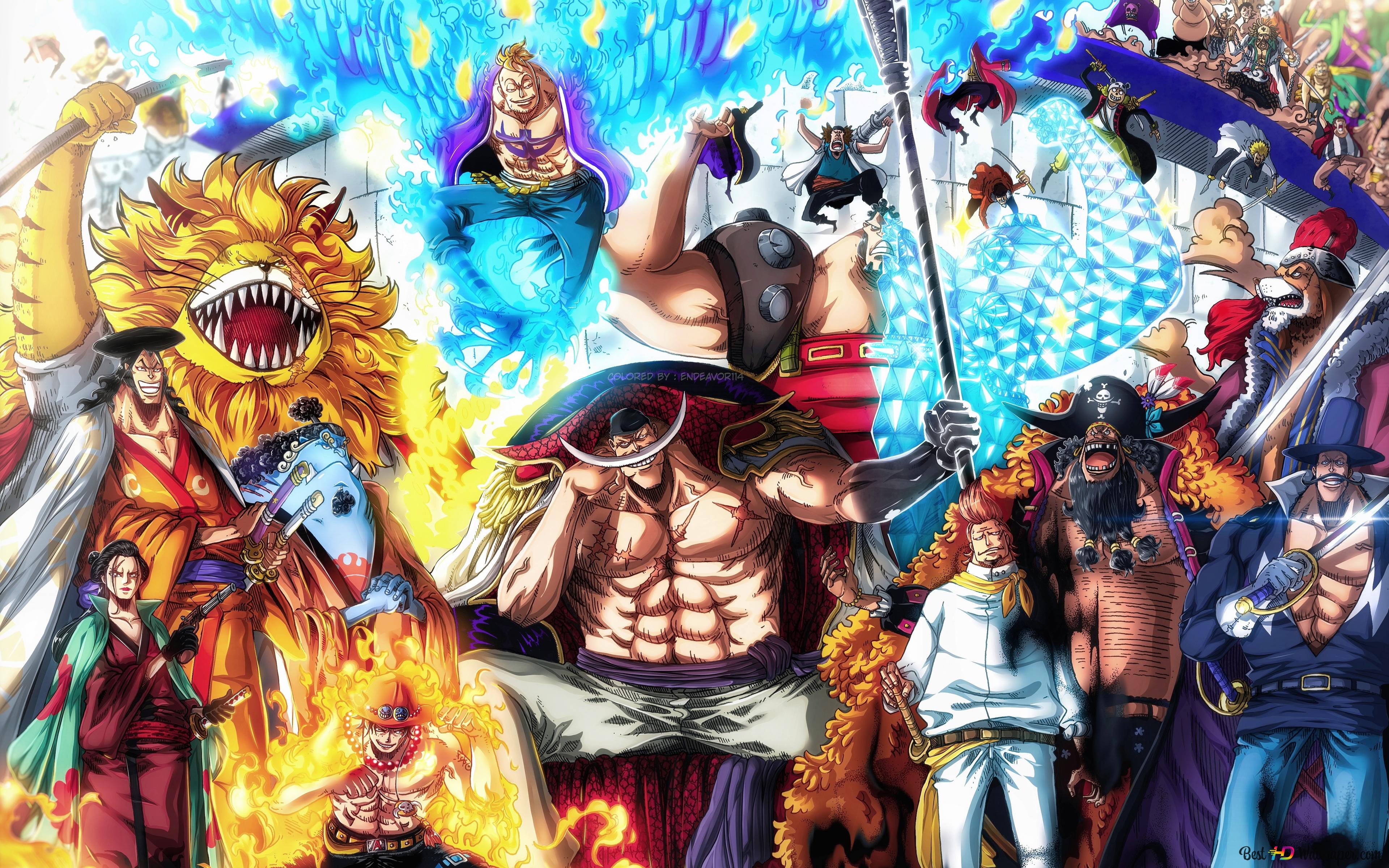 Whitebeard Pirate 4K wallpaper download
