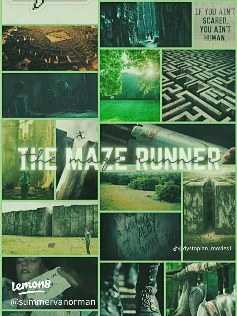 Stunning Maze Runner Wallpaper for Fans