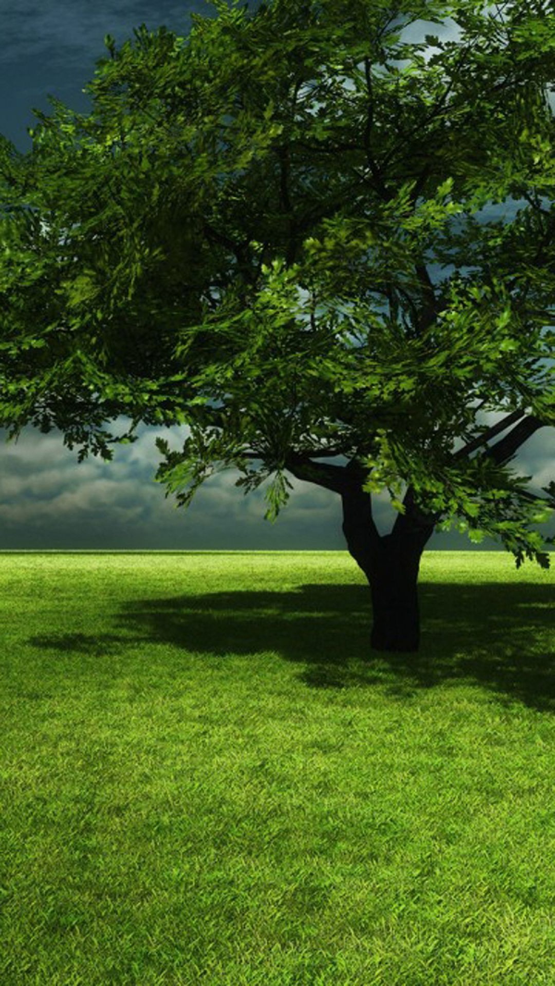 Wallpaper Green Tree on Green Grass Field During Daytime, Background Free Image