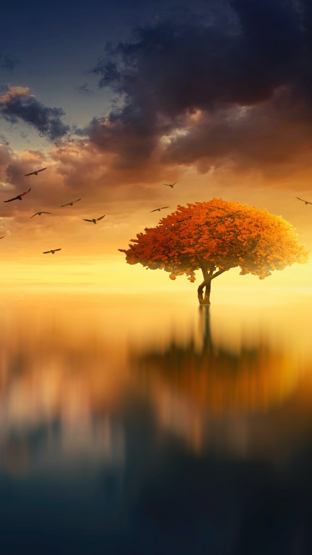 Tree Wallpaper 4K, Sunrise, Birds, Reflection