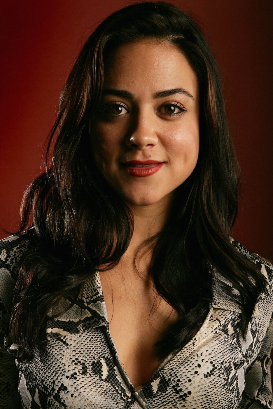 Carmen Gutierrez. Teen Wolf Fanon