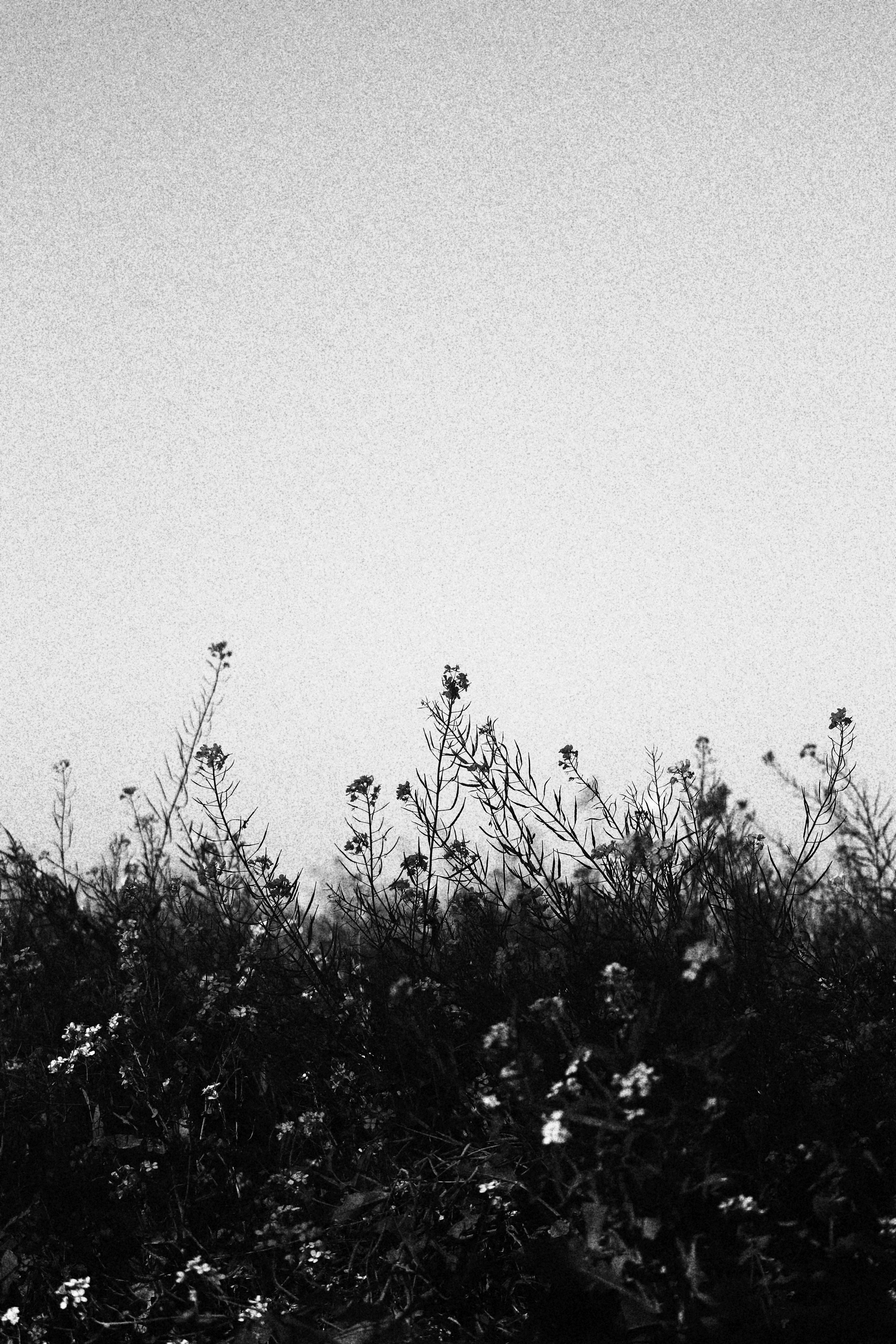 Grey Aesthetic Picture. Download Free Image