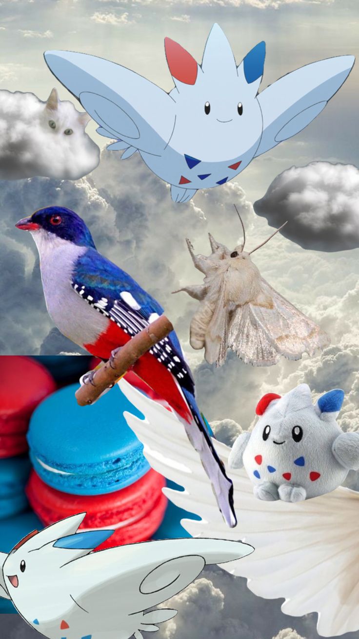 Decided to make a based of a random Pokémon so here's Togekiss #pokemon #togekiss #red #blue #white #angel #birds #charactermoodboard #characteraesthetic