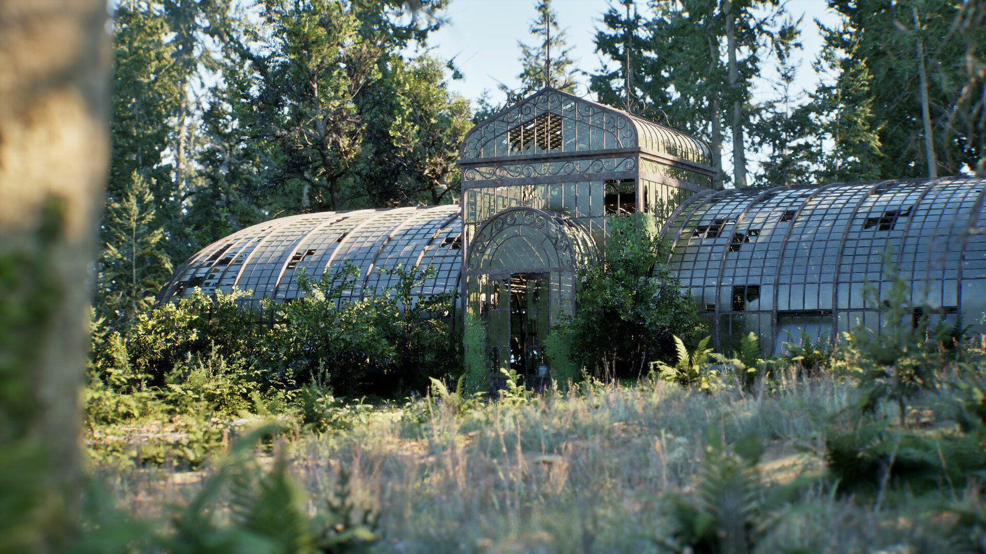 Rooted Wallpapers - Wallpaper Cave