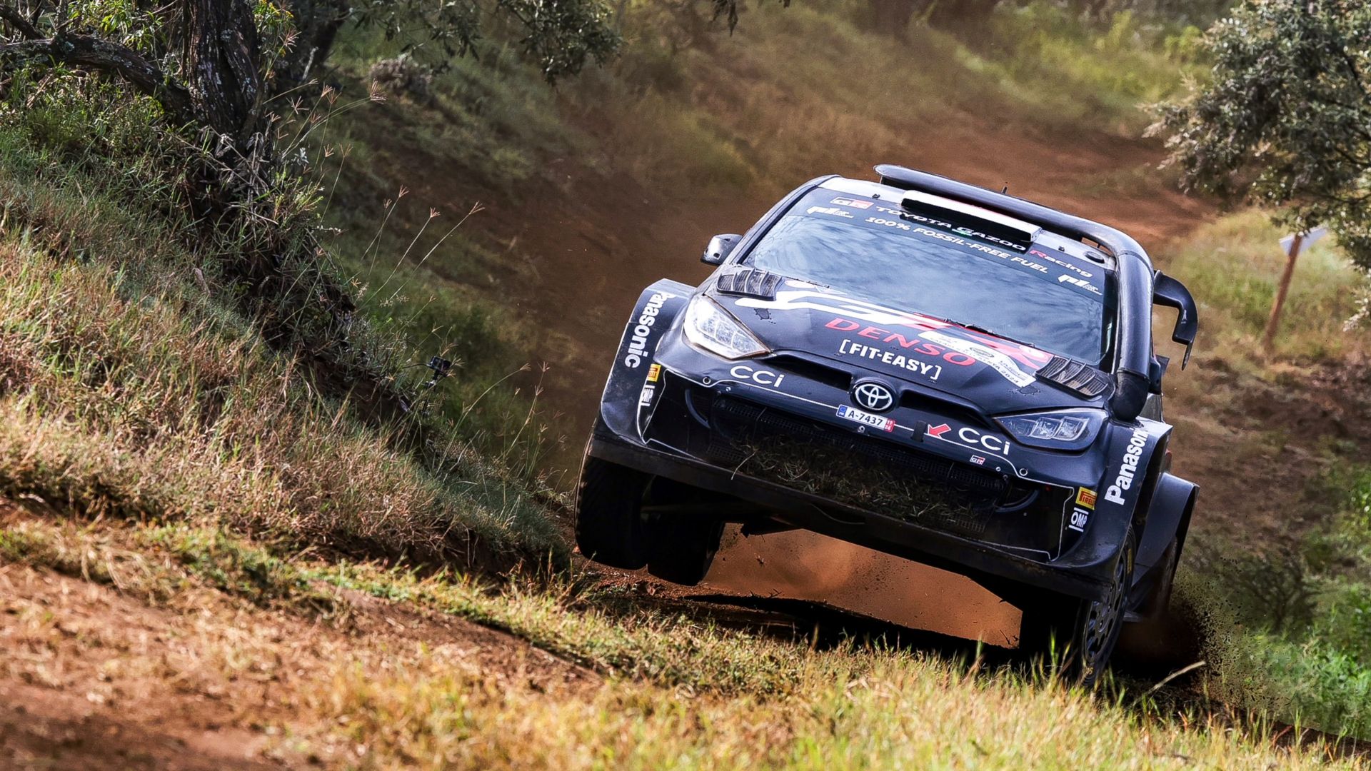 World Rally Championship