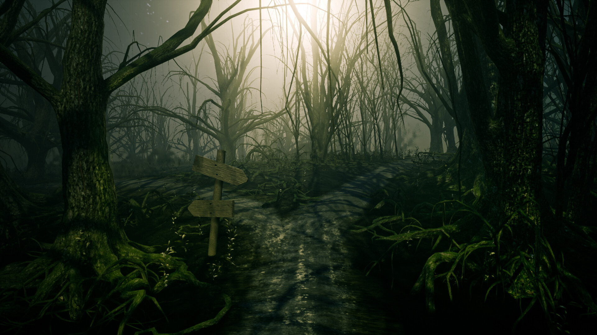 Taylor Prudencio Forest Scene