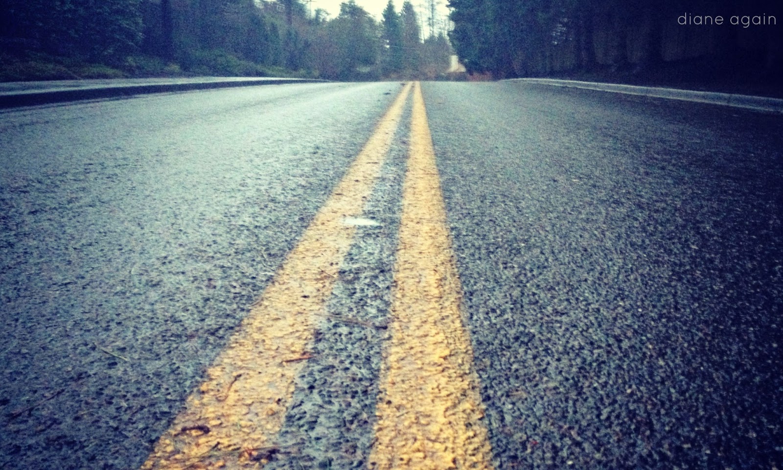 Diane Again: Straight Lines