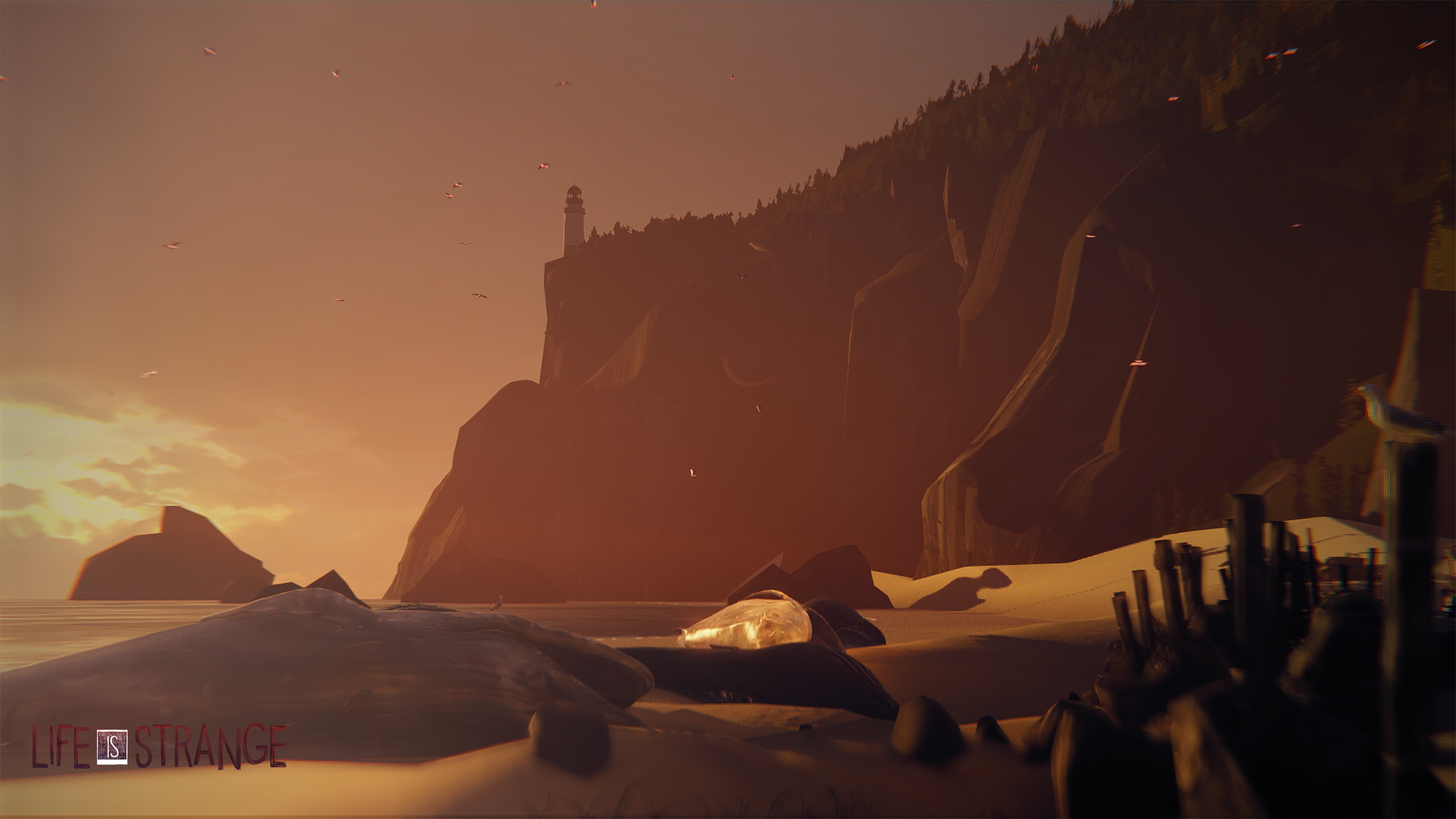 Arcadia Bay, Life Is Strange, Sunset, Lighthouse, Whale, Beach, Water, Sand, Rock, Seagulls Wallpaper HD / Desktop and Mobile Background