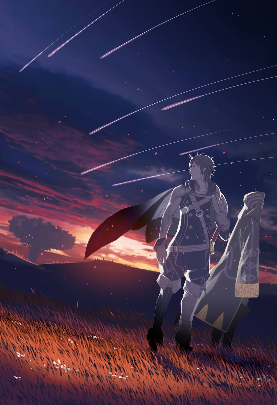 Buy Fire Emblem Awakening Chrom and Robin 13x19 Online in India