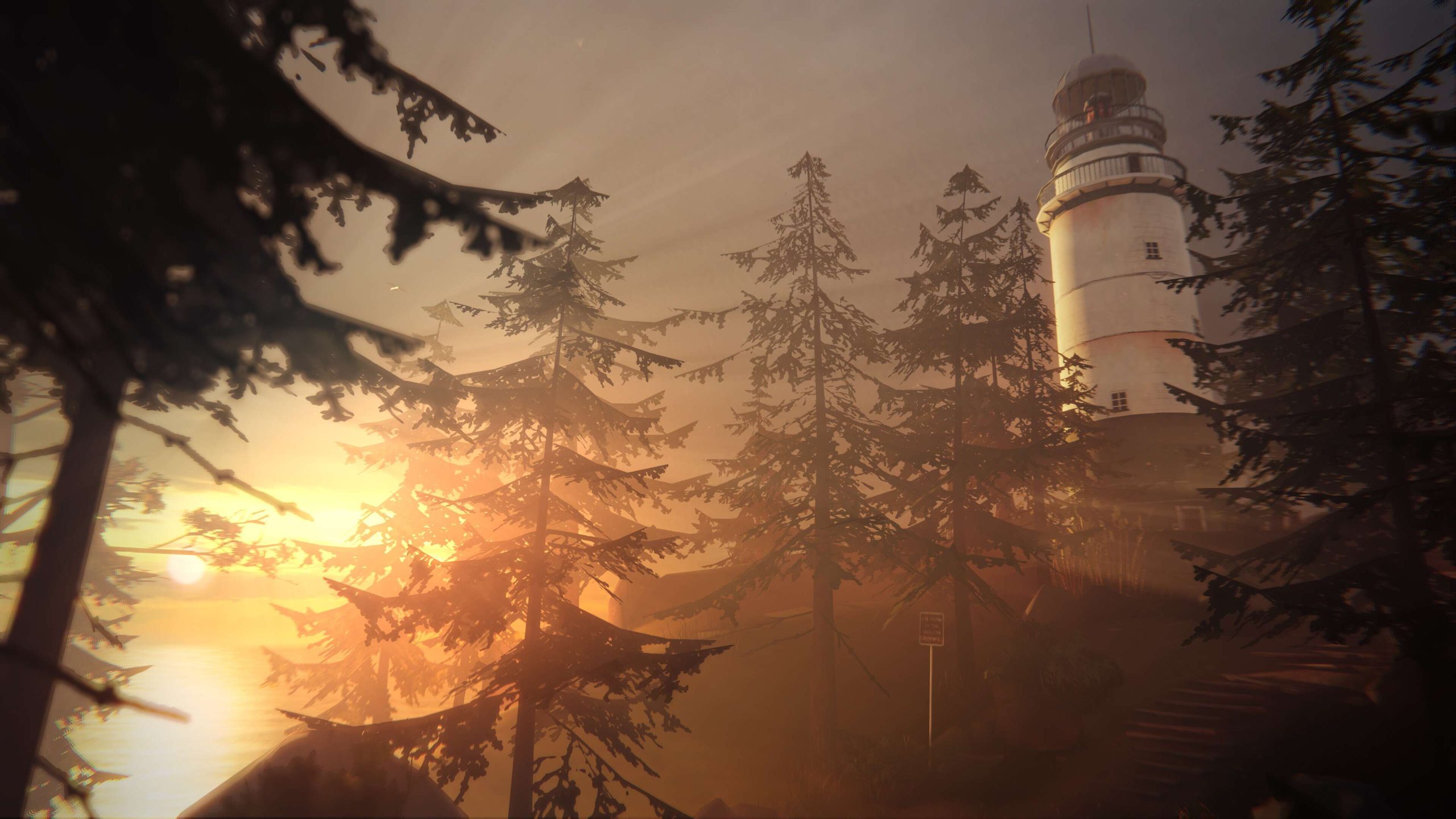 Life Is Strange Director Wanted To Do More With The IP, But Square Enix Had No Plans