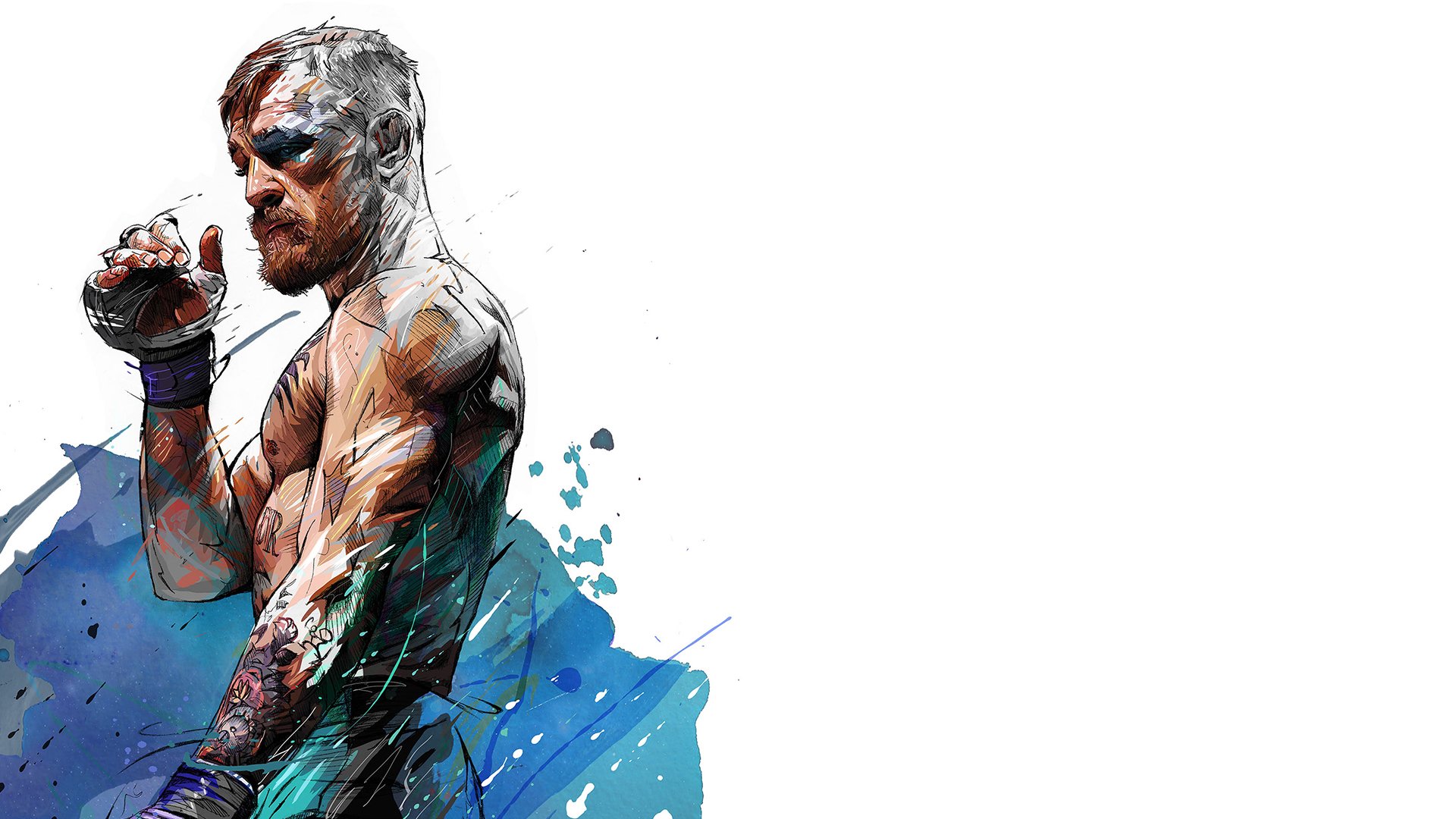 Download UFC Conor Mcgregor Sports HD Wallpaper
