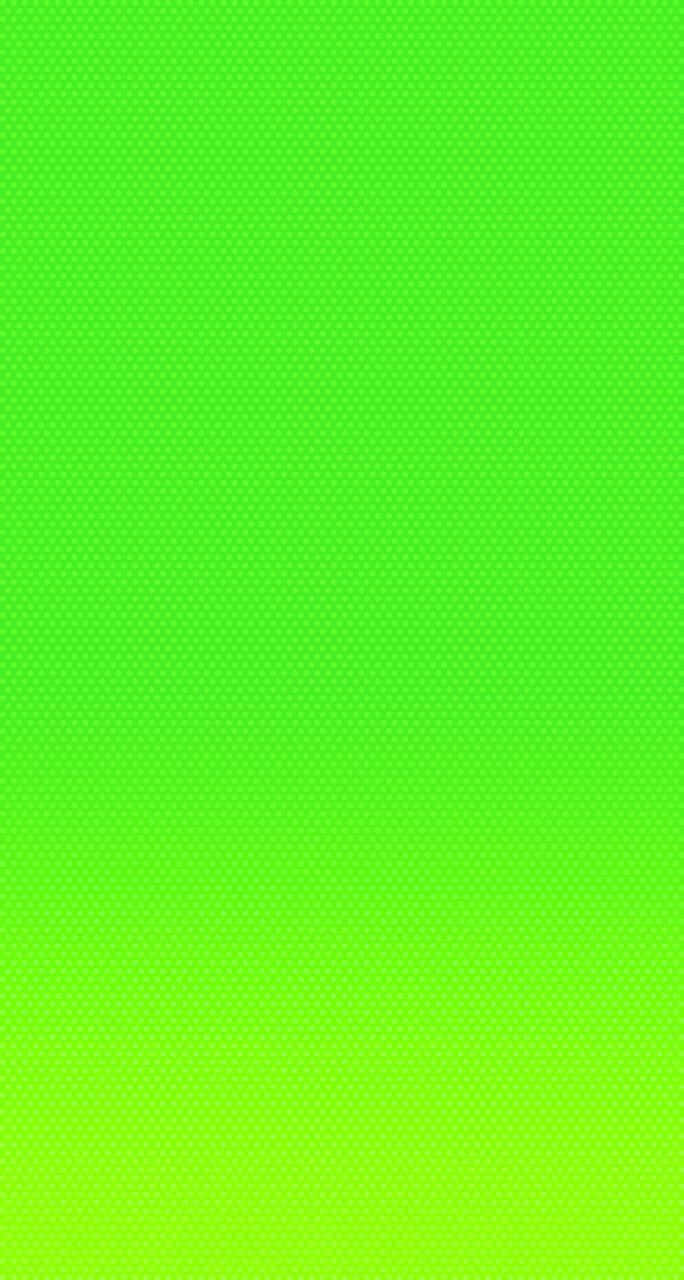 Download Green Solid Color Wallpaper
