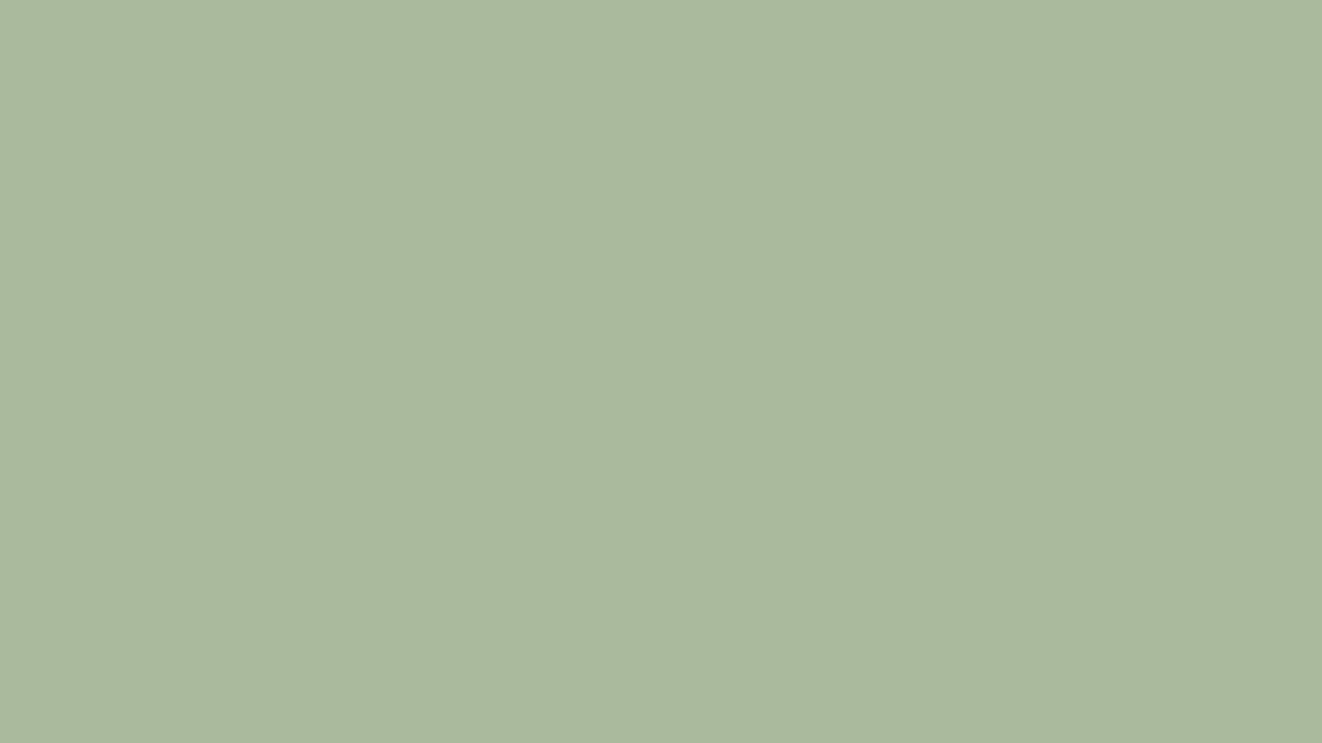 Laurel Green Solid Color Background