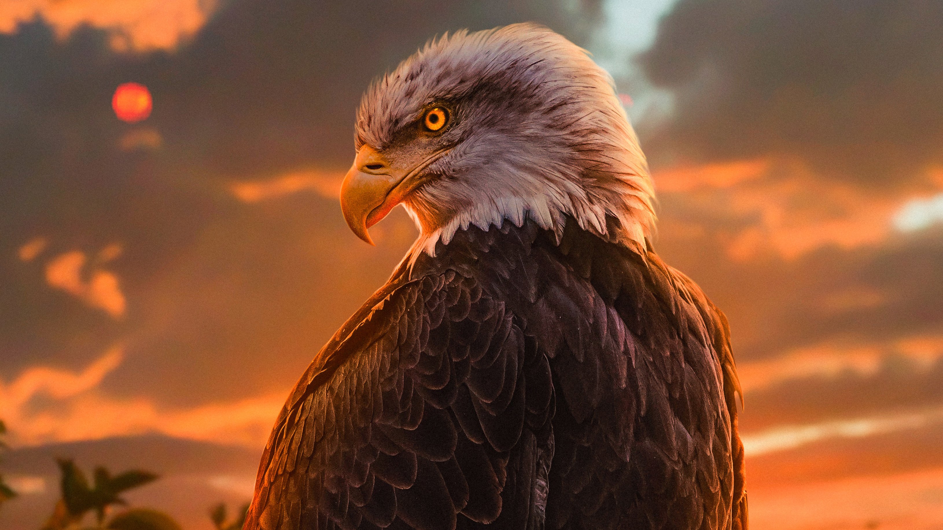 Eagle Wallpaper for Desktop