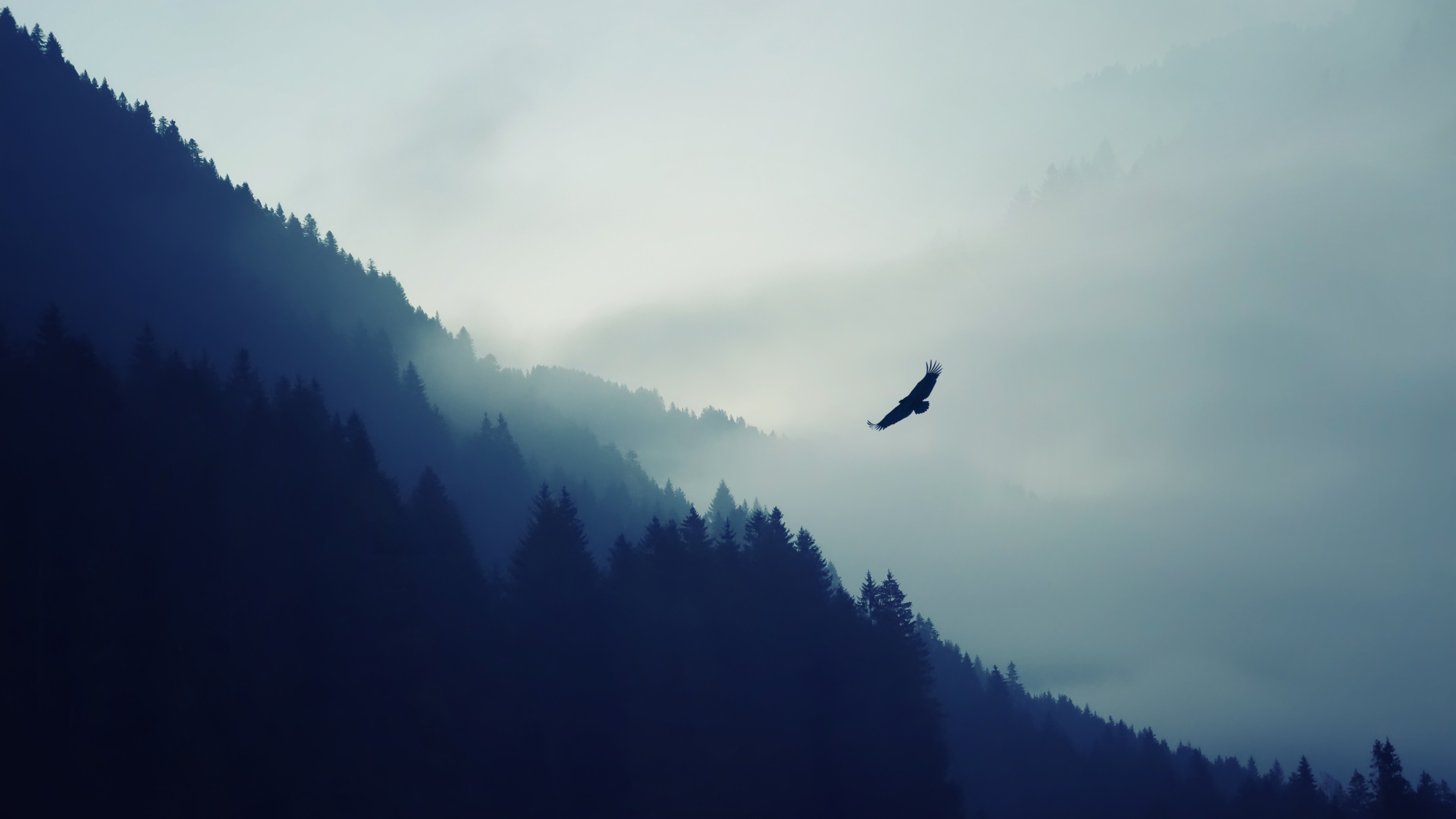 nature, Mountain, Eagle, Fog, Landscape, Ultrahd, 4k, Wallpaper HD / Desktop and Mobile Background
