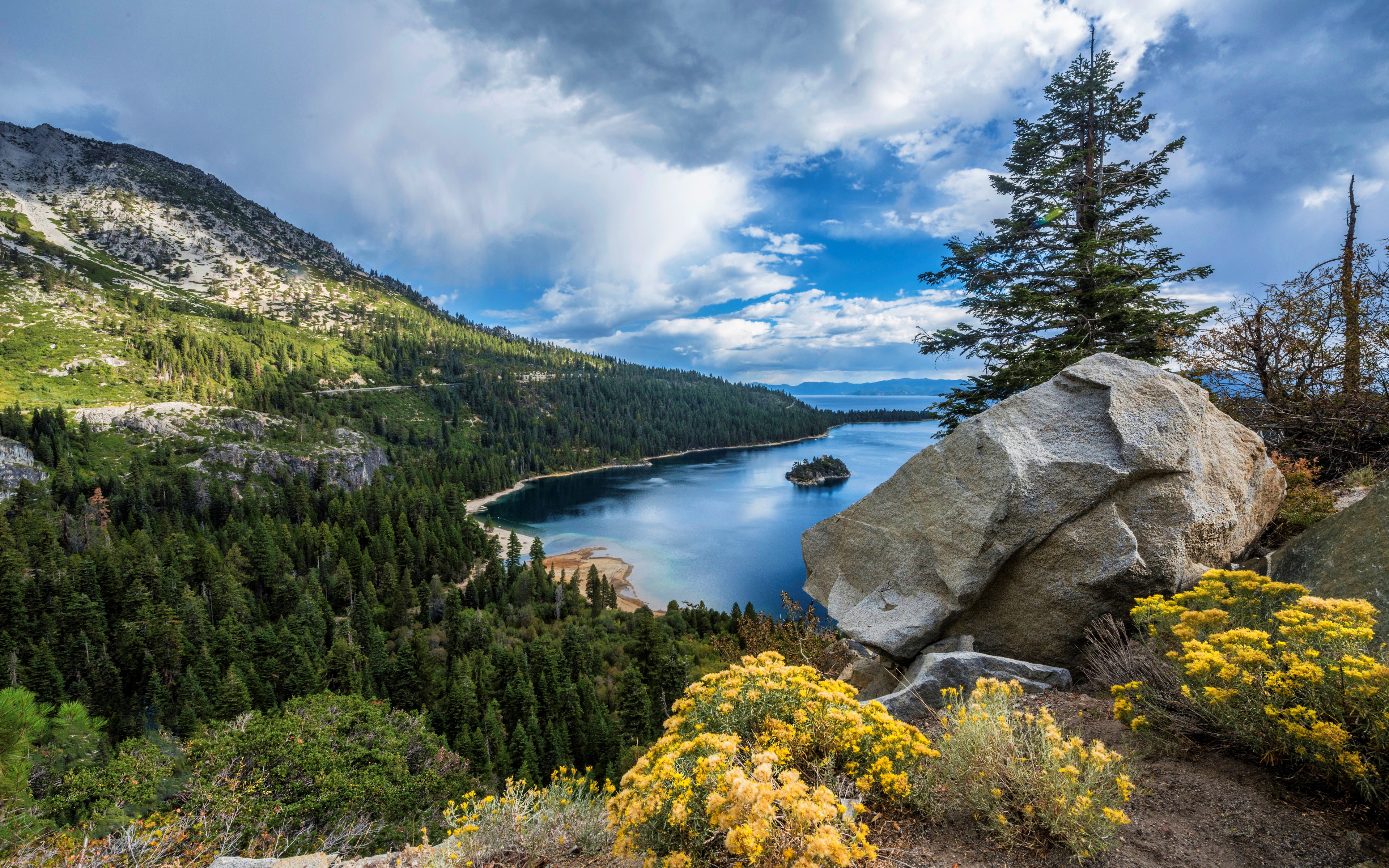 Download Flower Forest Tree Mountain Lake Nature Lake Tahoe 4k Ultra HD Wallpaper
