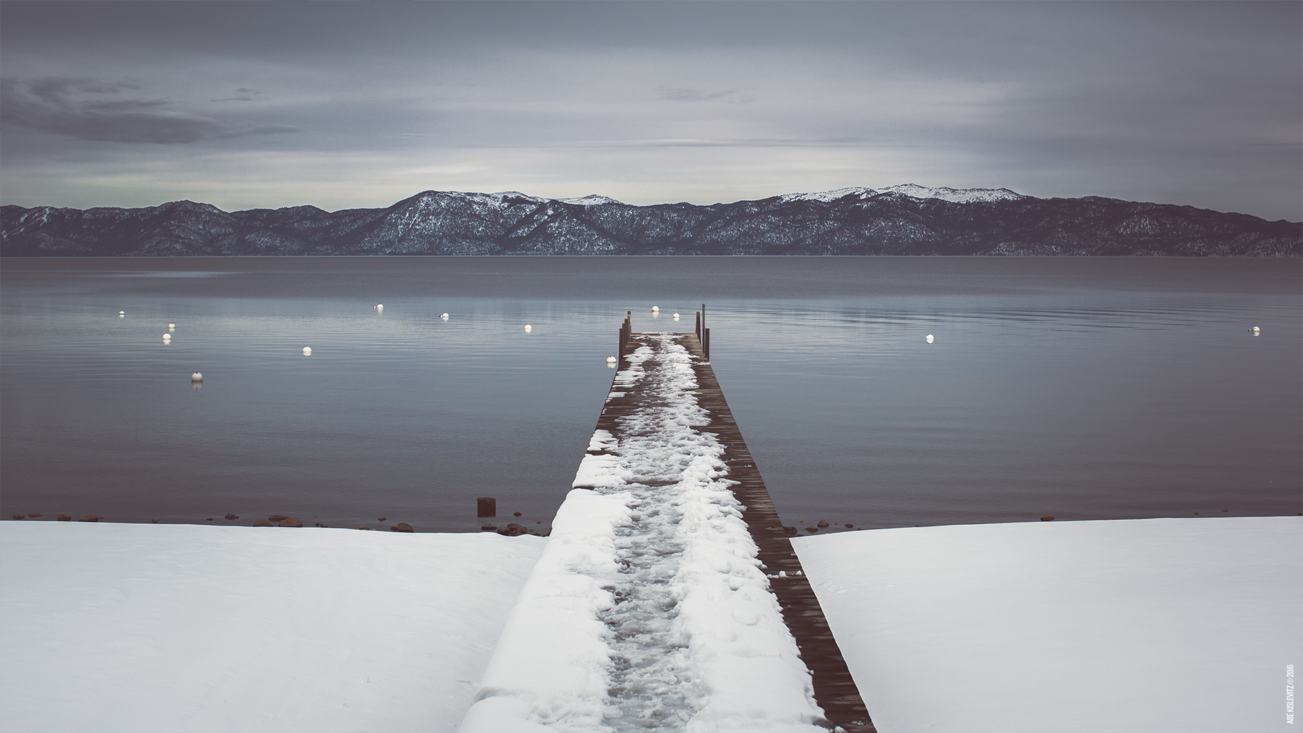 Wallpaper of the Month