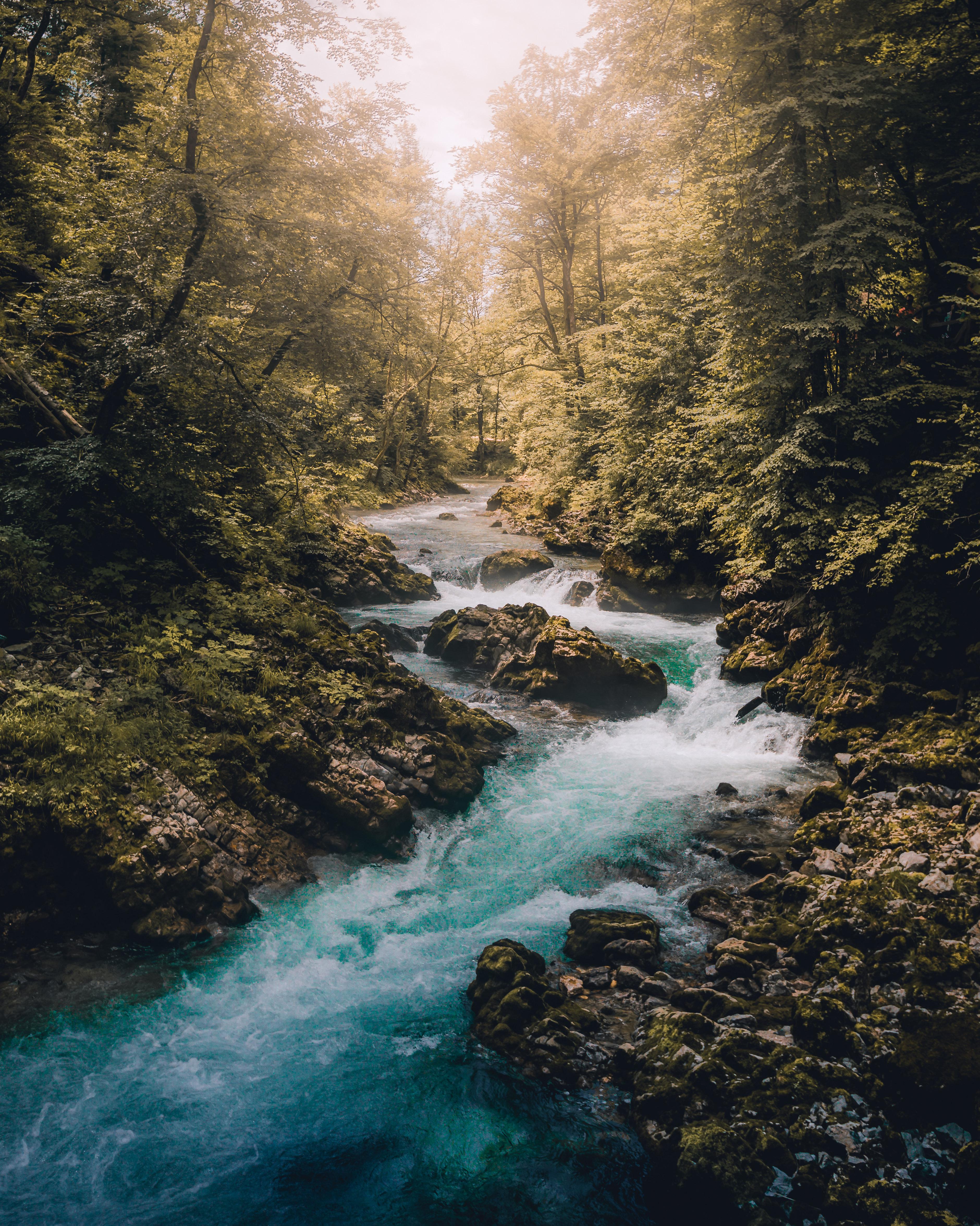 Slovenia; Where The Water Colour Was The Craziest Blue Teal I Have Ever Seen. Vintgar Gorge, Slovenia [OC][3760 × 4700]