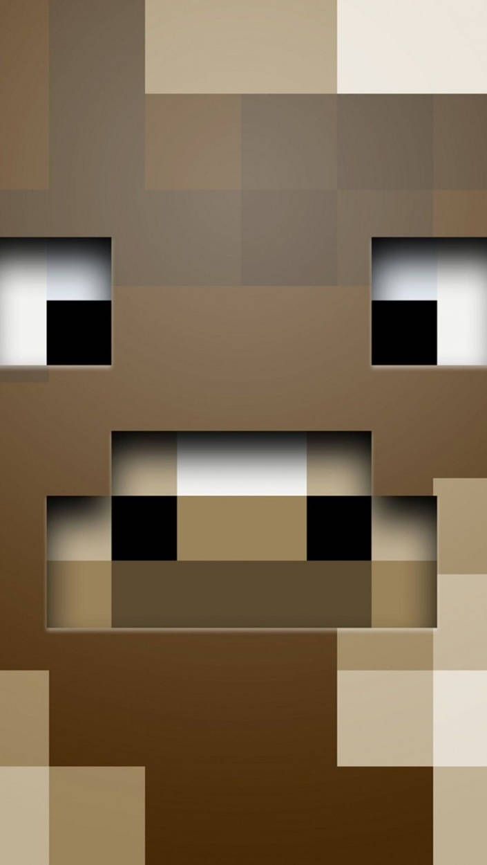 Download Zoom Steve Face Minecraft iPhone Wallpaper