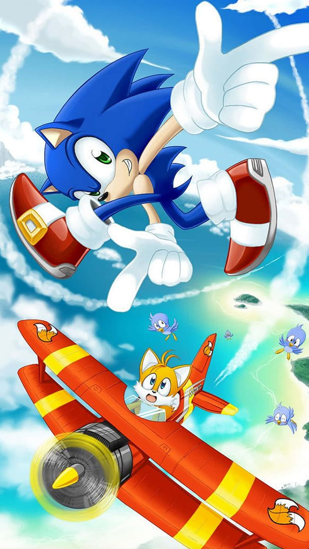 Download Sonic Adventure HD in Action Wallpaper