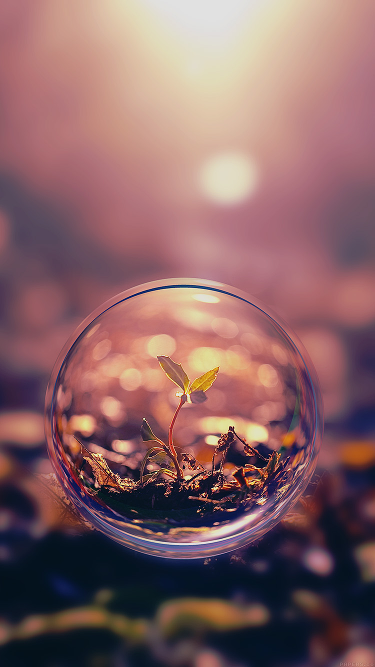 iPhone wallpaper. life begins leaf waterdrop nature