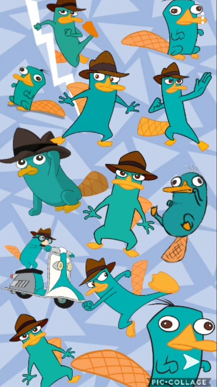 Perry The Platypus Background Collage Wallpaper Phineas and Ferb Triangle