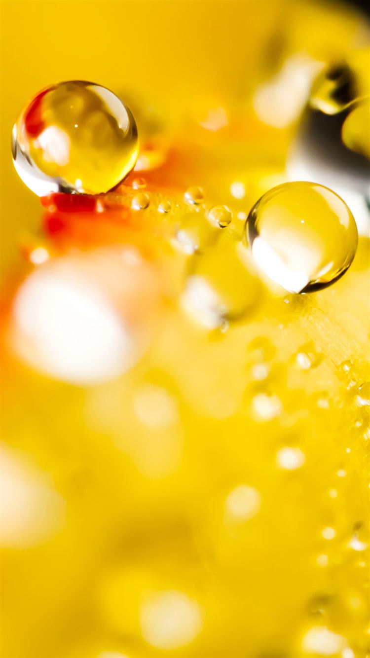 Macro Wonderful Drop iPhone 8 Wallpaper Free Download