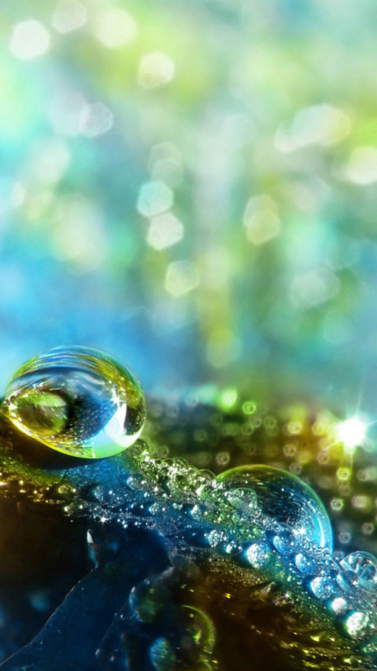 Water Drop 05 iPhone 6 Wallpaper HD iPhone 6 Wallpaper