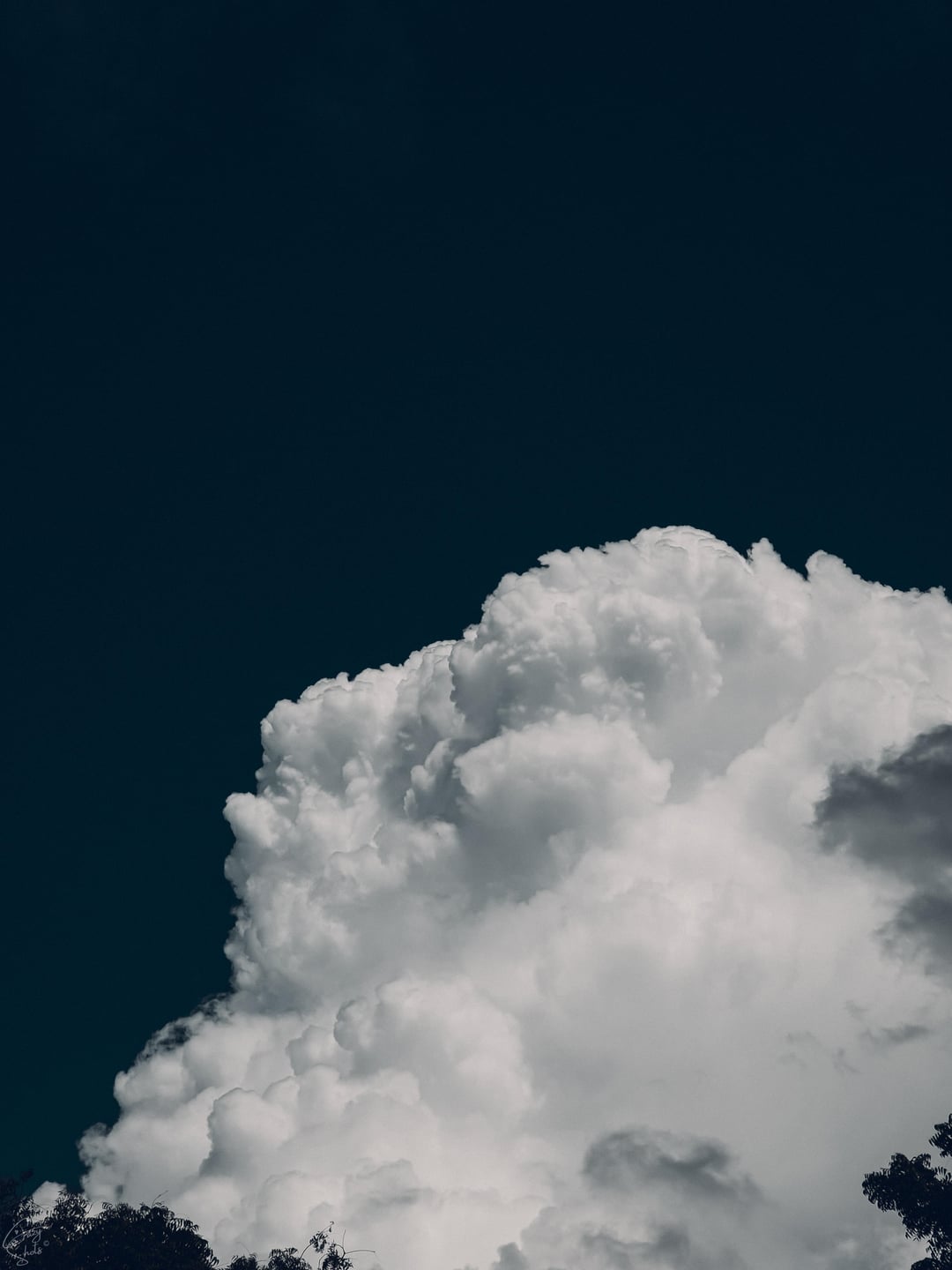 Pure white clouds against a flawless blue sky