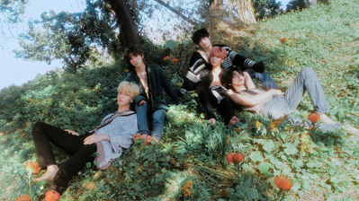 TXT Kpop HD 4K Wallpaper PC & Phone