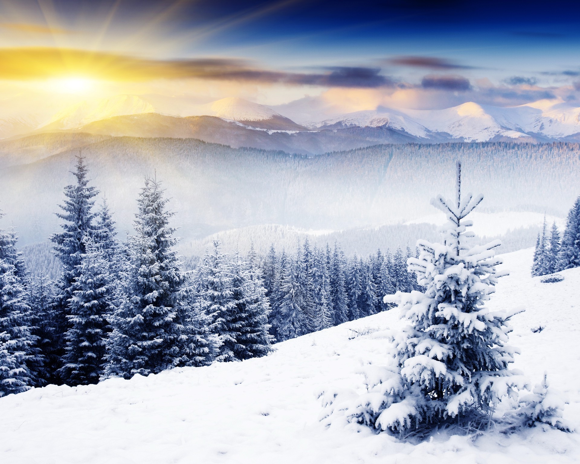 A landscape depicting a cold white winter