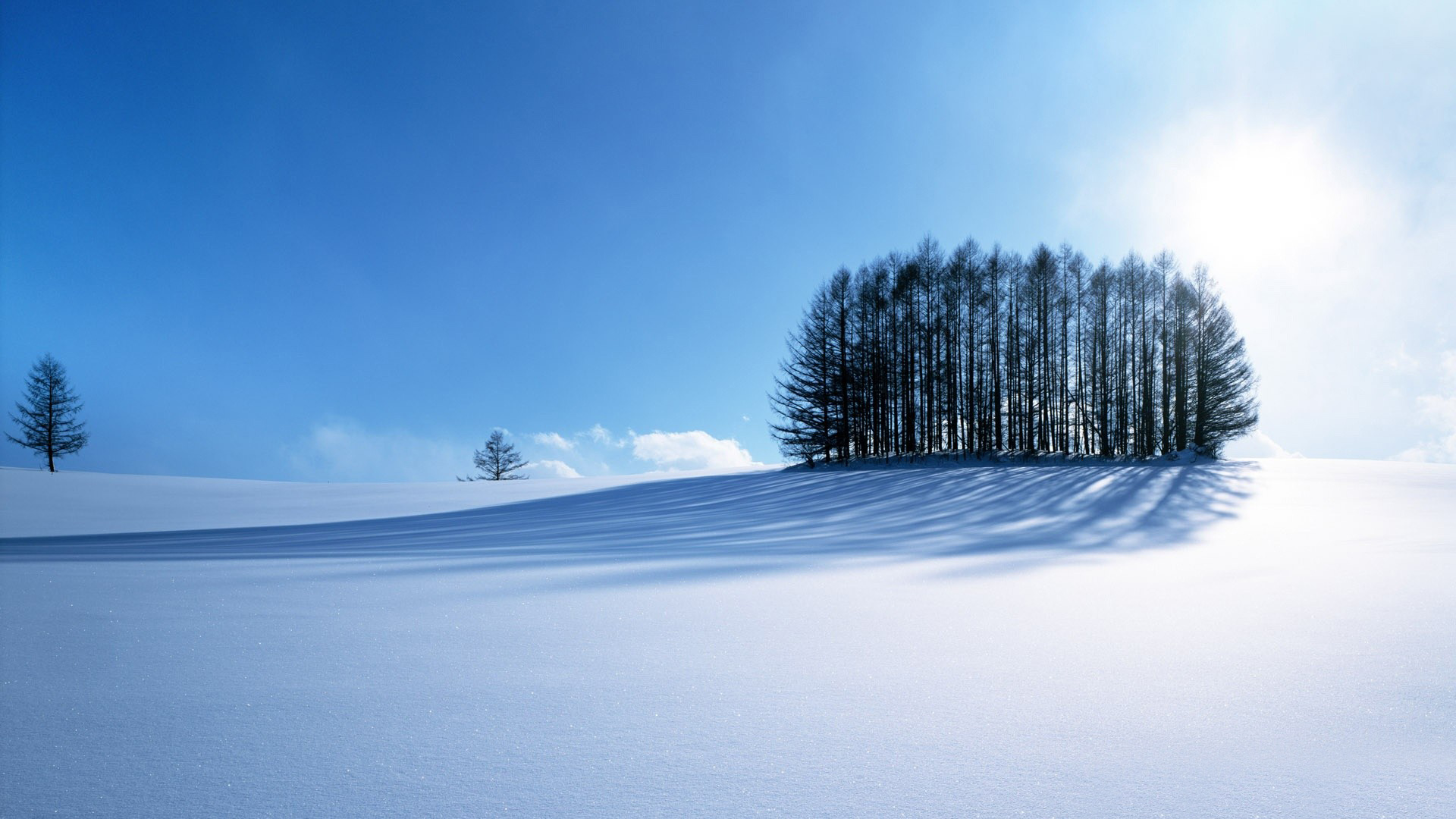 Download Landscape Snow Tree Nature Sunny Winter HD Wallpaper
