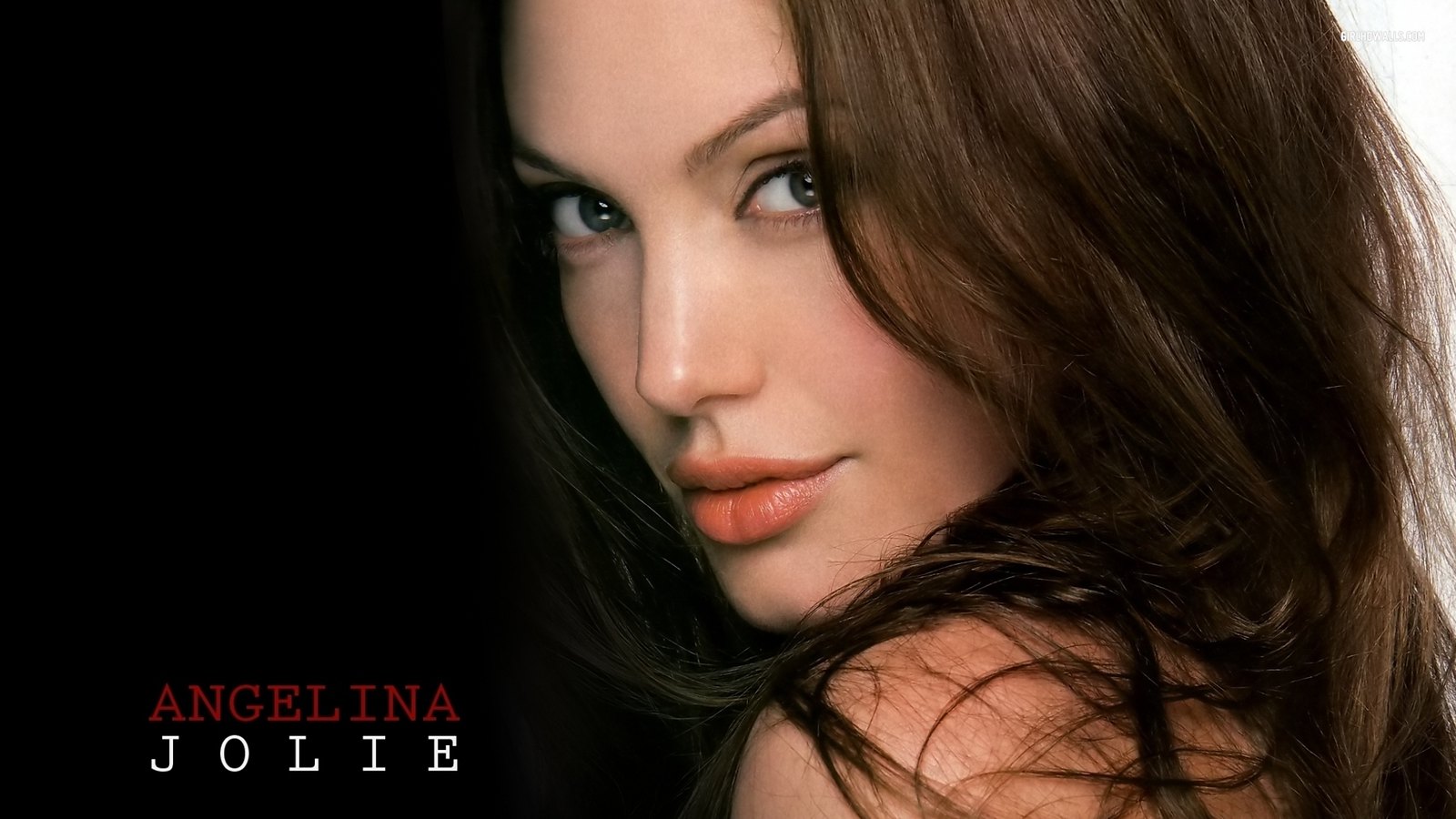 Angelina Jolie Beautiful Desk HD Wallpaper