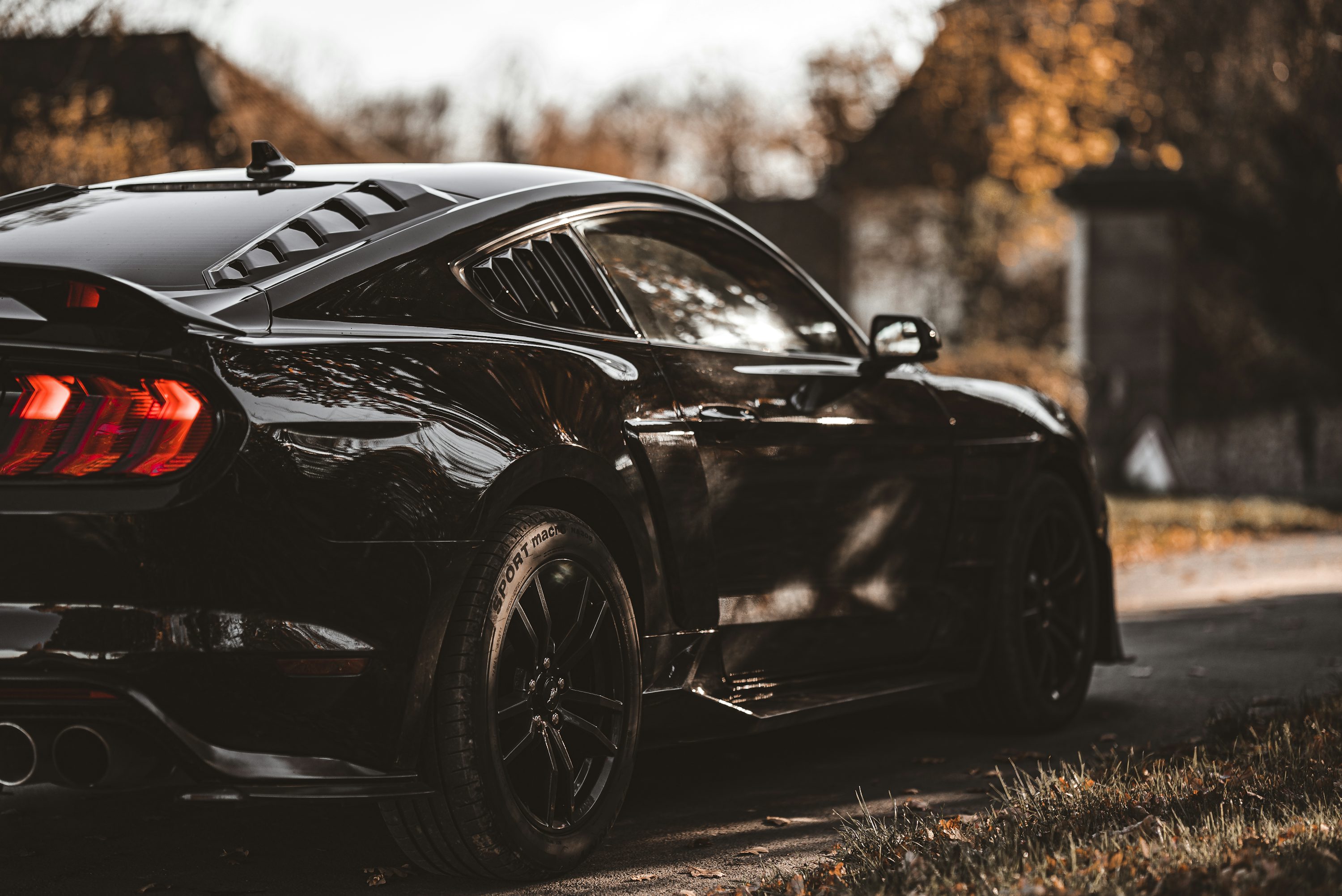 Black Mustang Picture. Download Free Image
