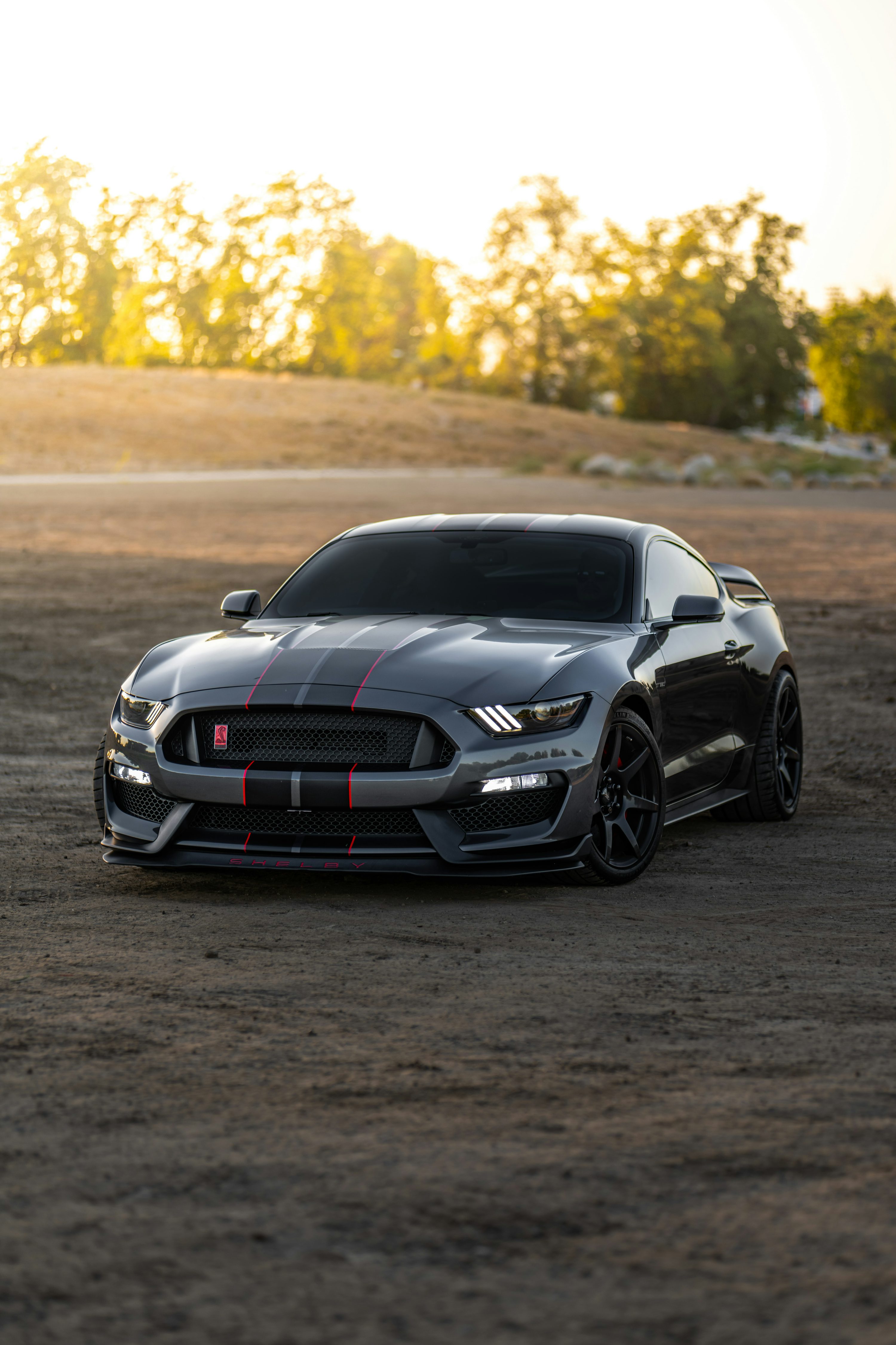 Mustang Wallpaper: Free HD Download [HQ]