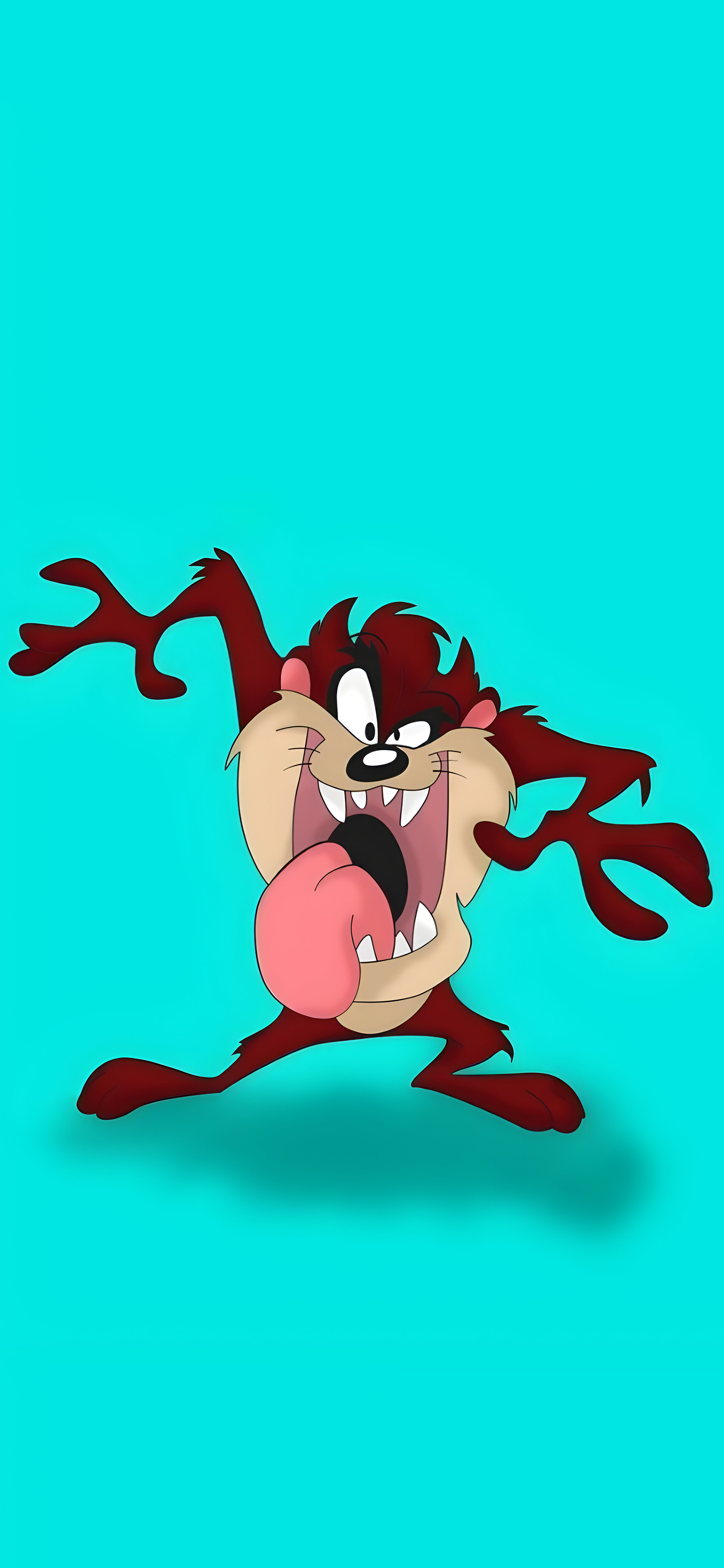 Looney Tunes Taz Wallpaper Cartoon Wallpaper for iPhone