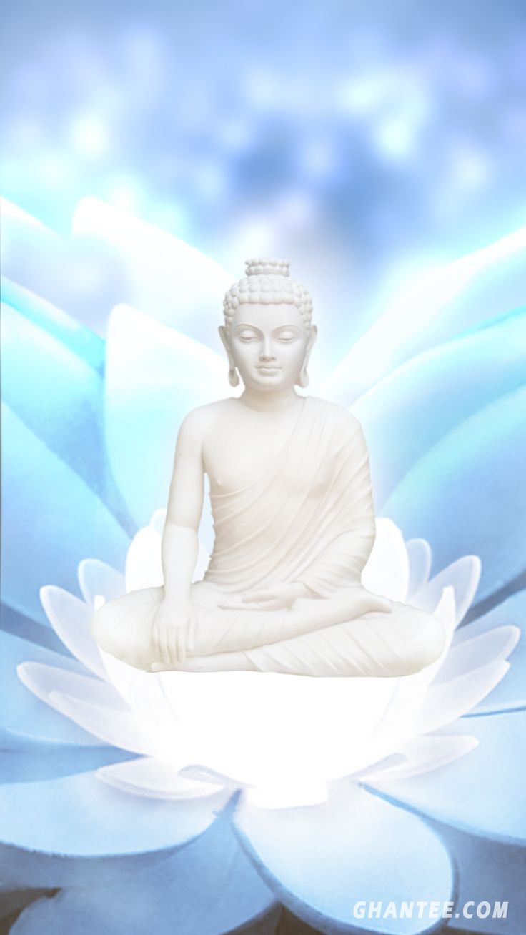 buddha mobile wallpaper. full HD resolution
