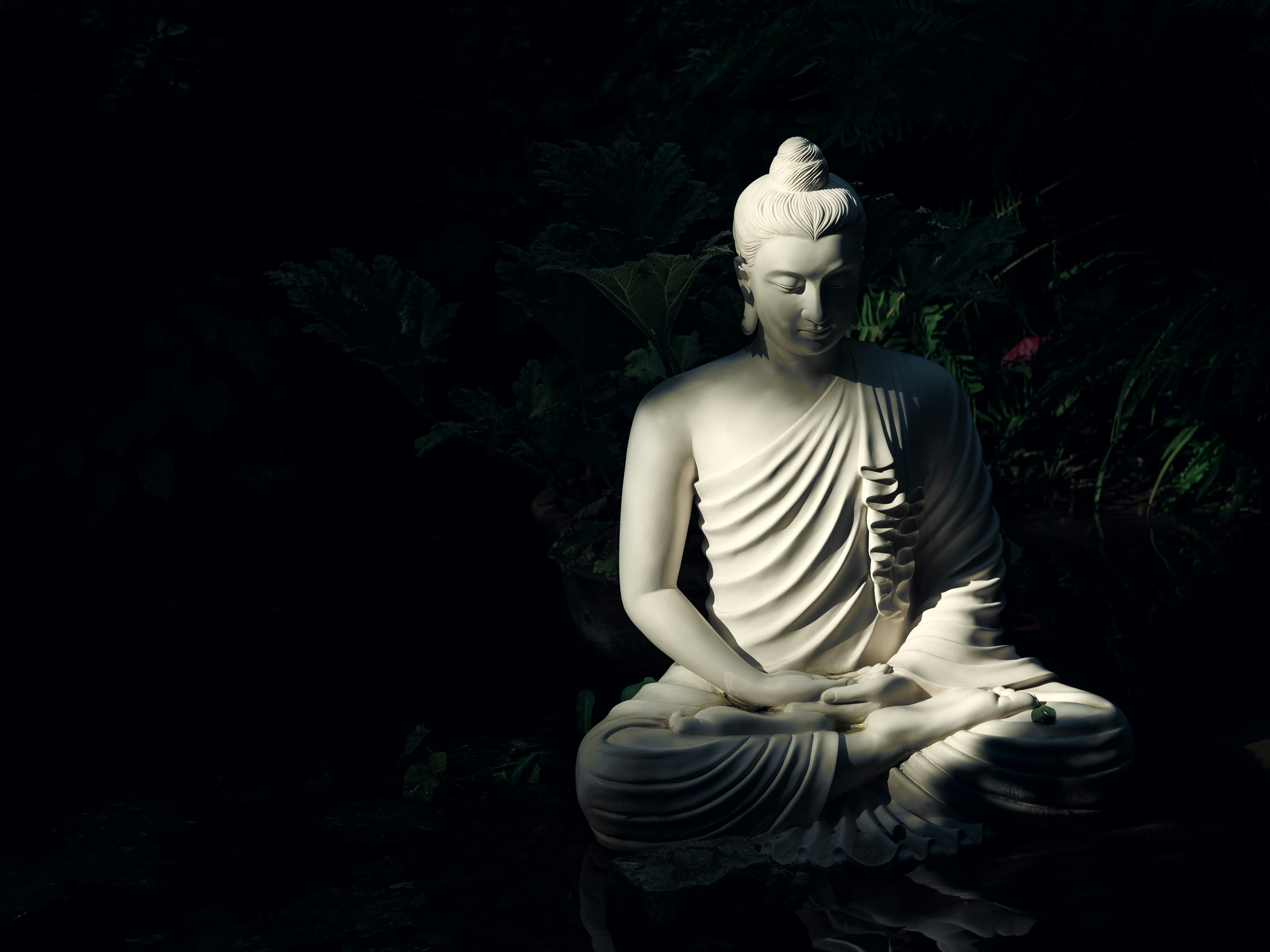Buddha Wallpaper Picture Image