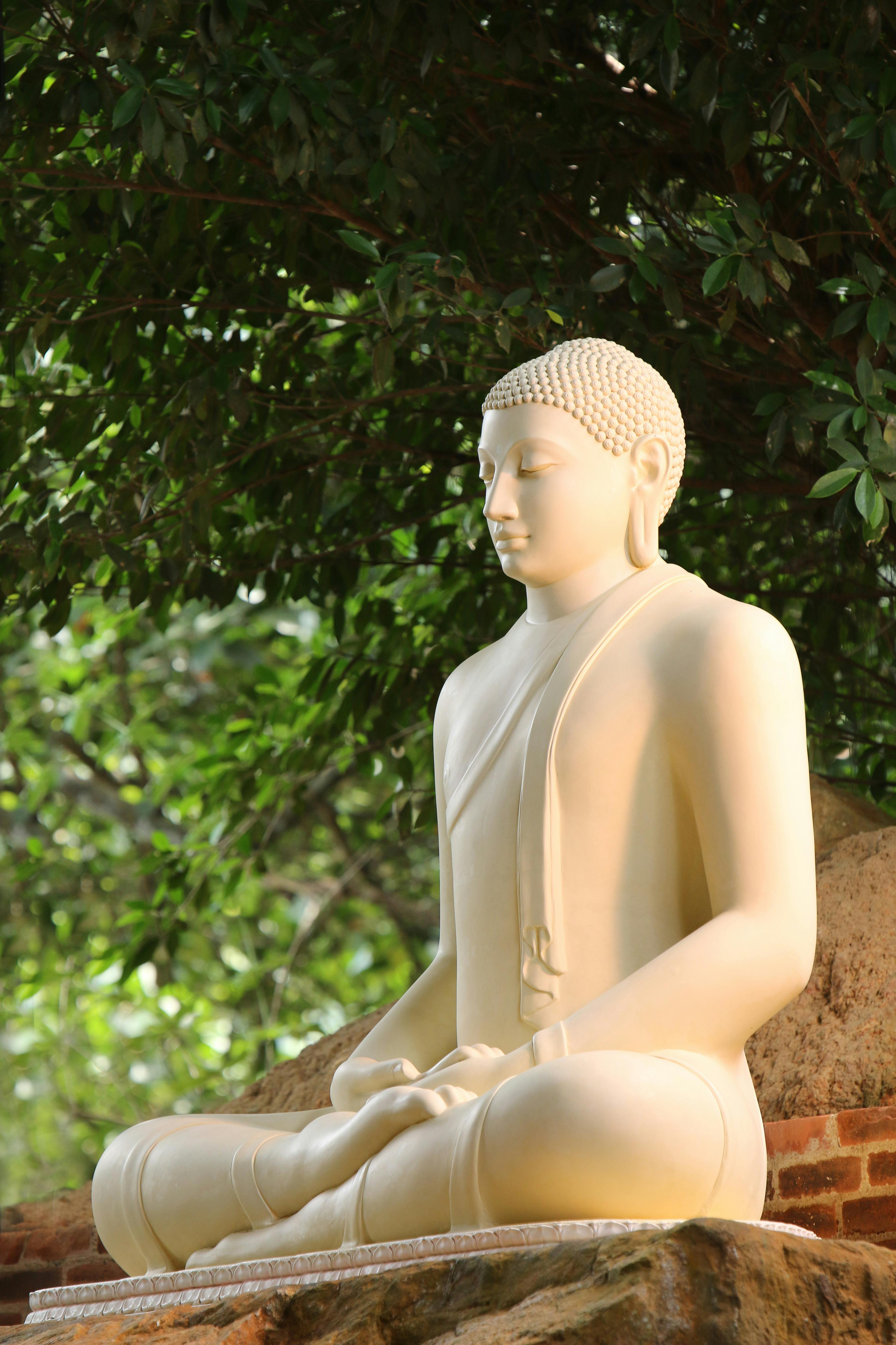 Close Up Photo White Buddha Statue · Free