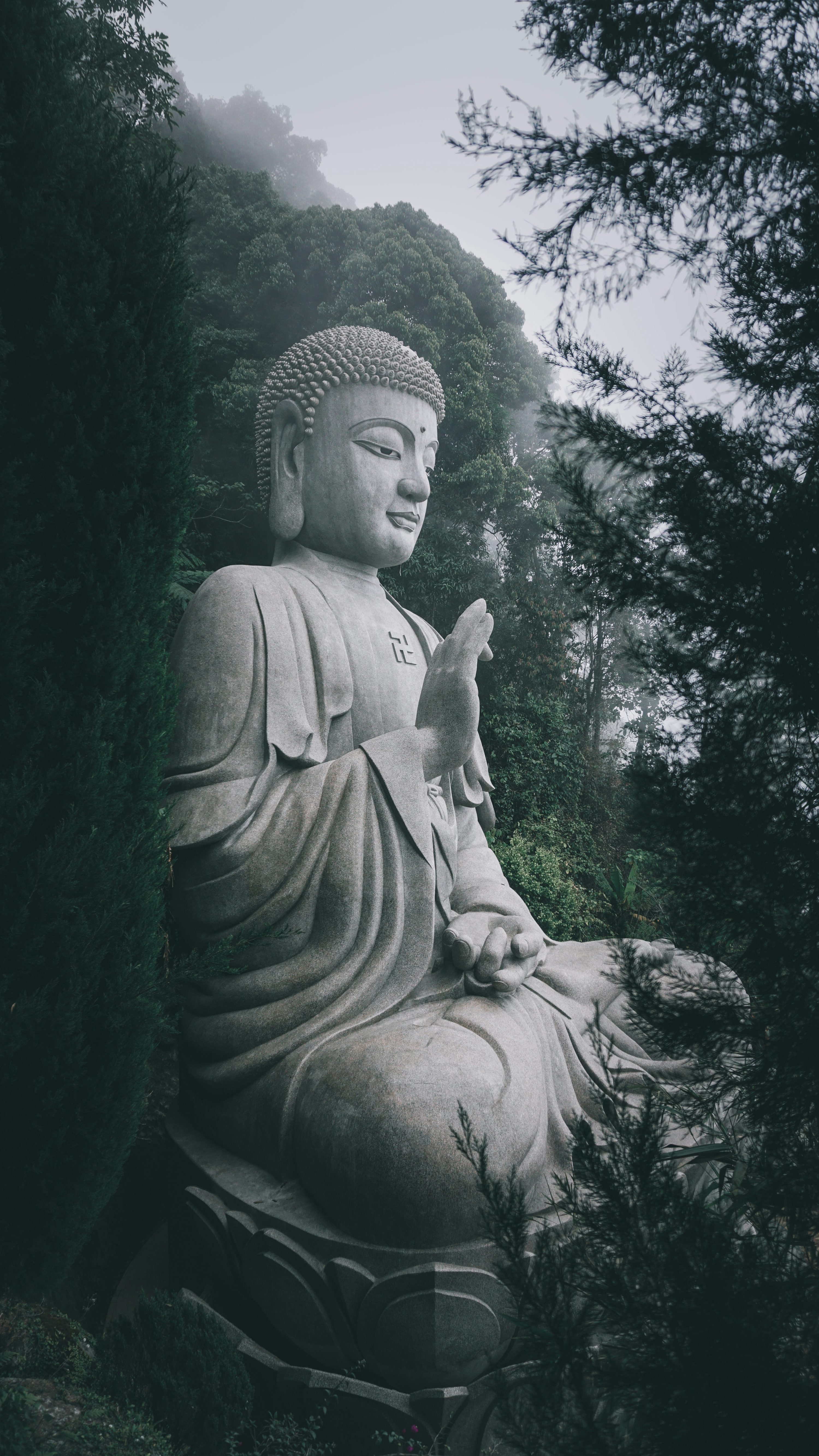 Lord Buddha Picture. Download Free Image