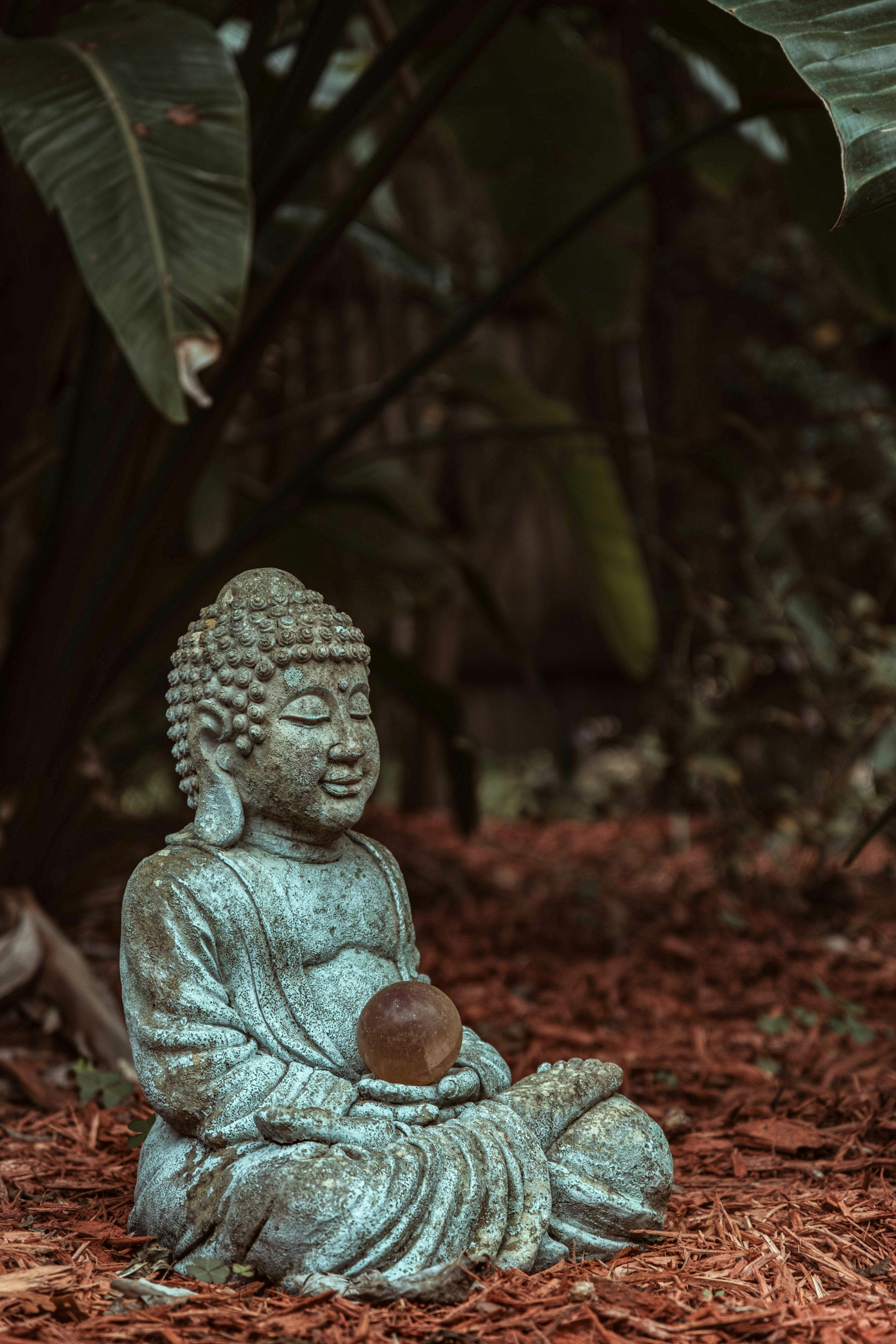 Gautama Buddha Photo, Download The BEST Free Gautama Buddha & HD Image