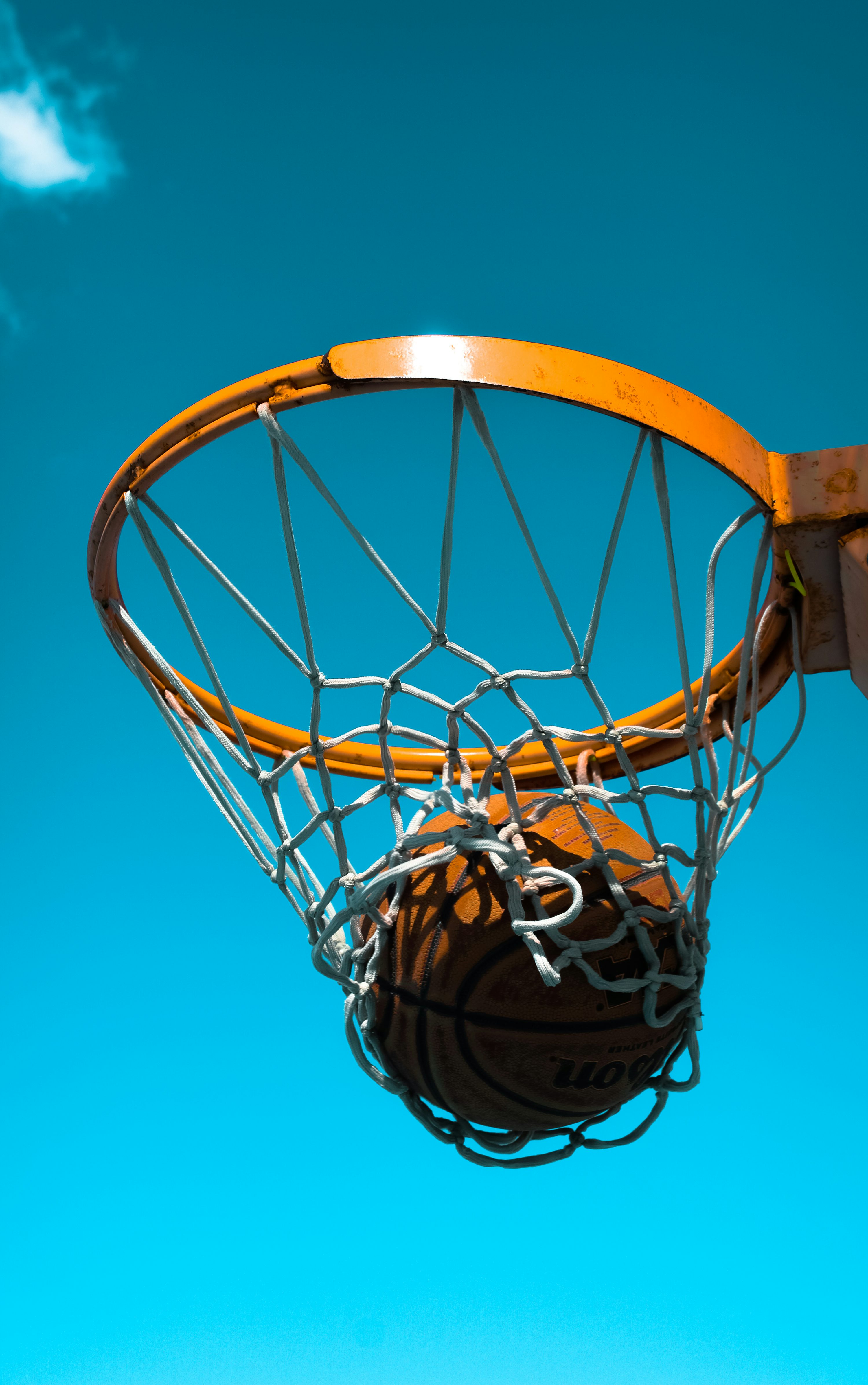 Basketball on hoop with net photo