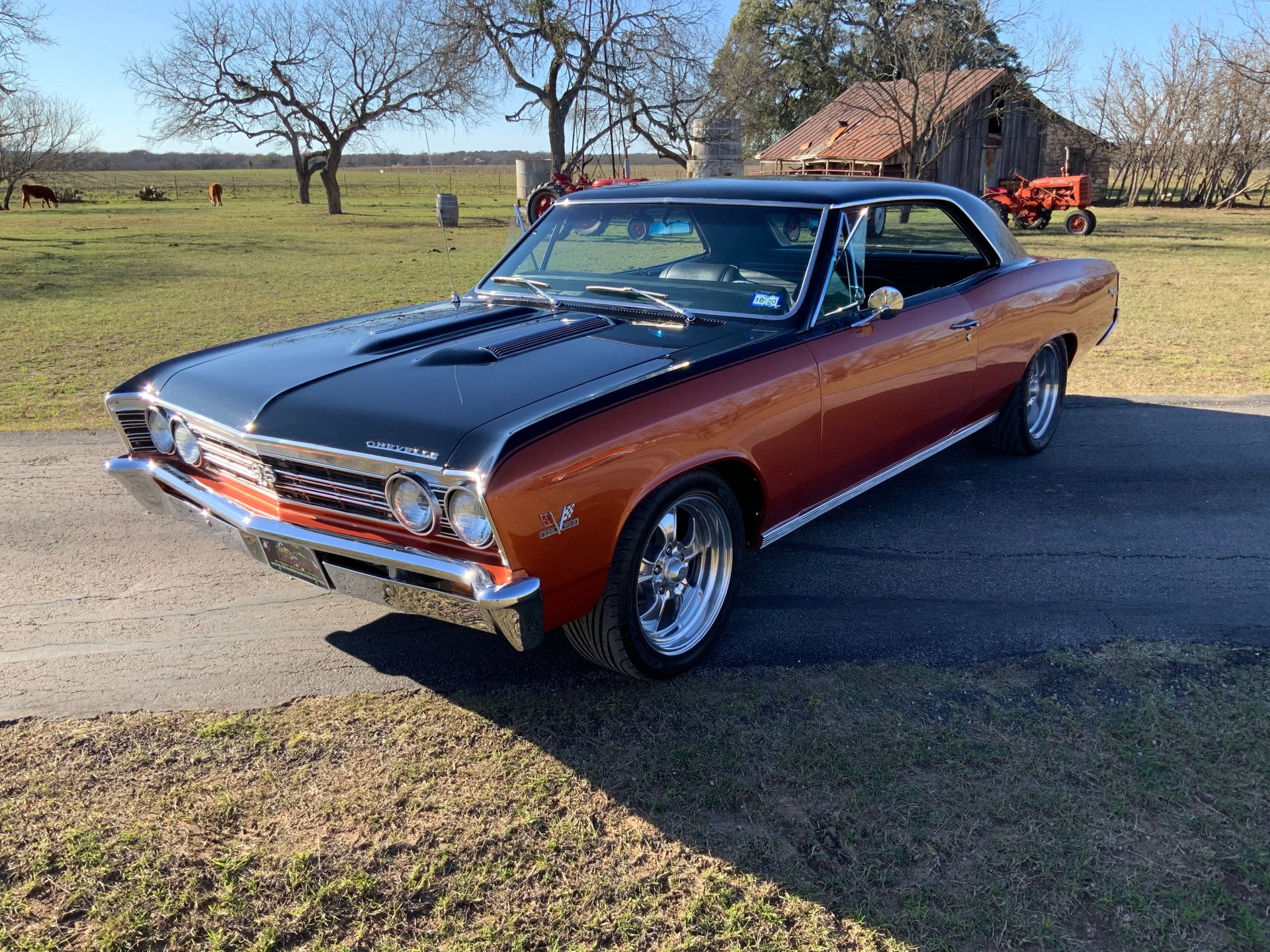Chevrolet Chevelle. American Muscle CarZ