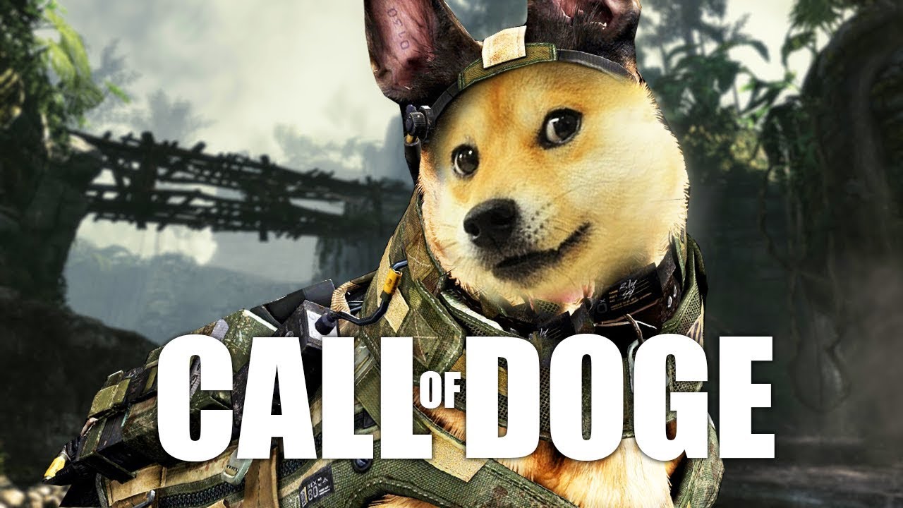Call of Doge: Fallout