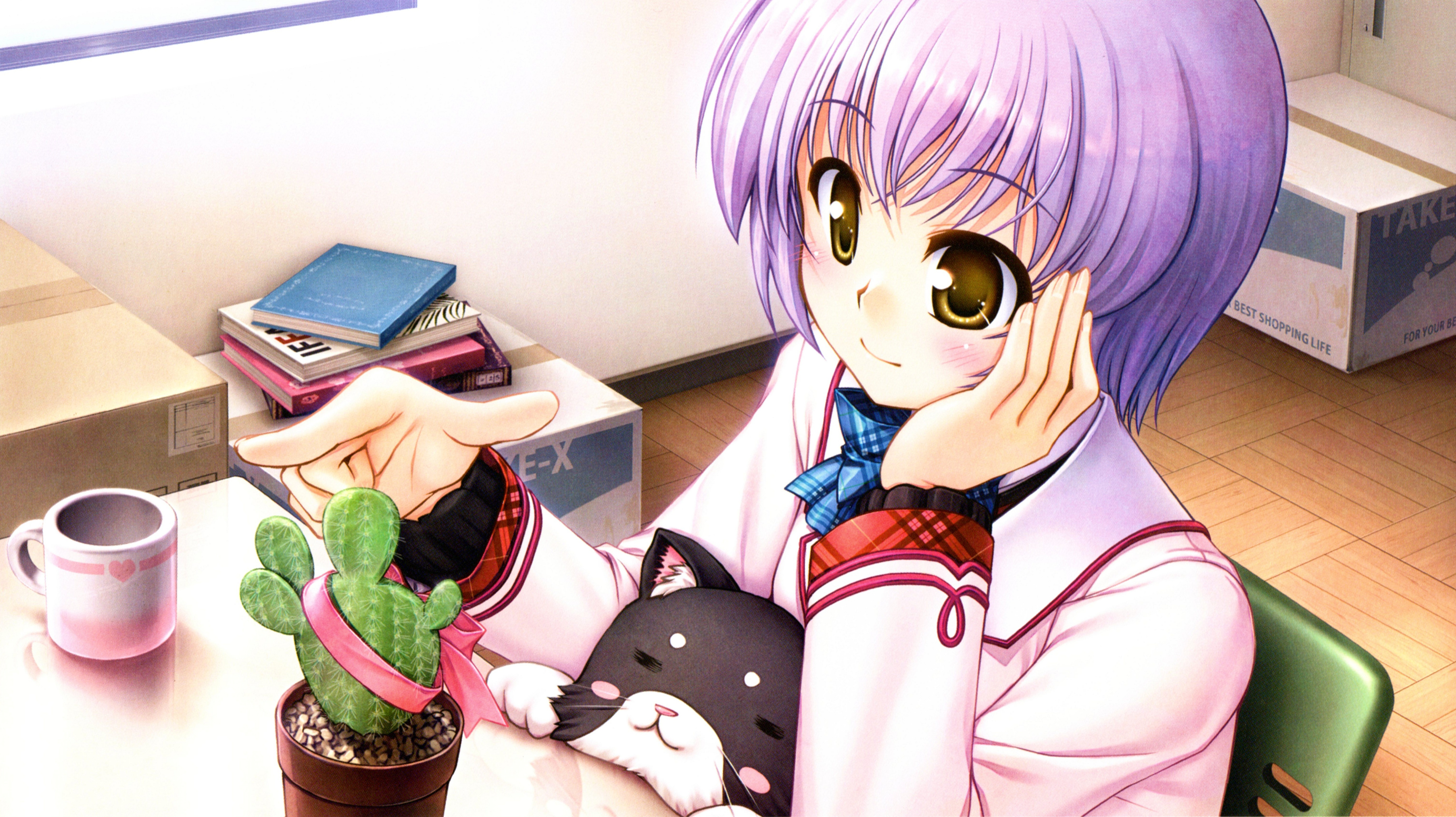 Wallpaper purple hair wallpaper misono senri daitoshokan no hitsujikai an anime anime from uaha image and screensavers