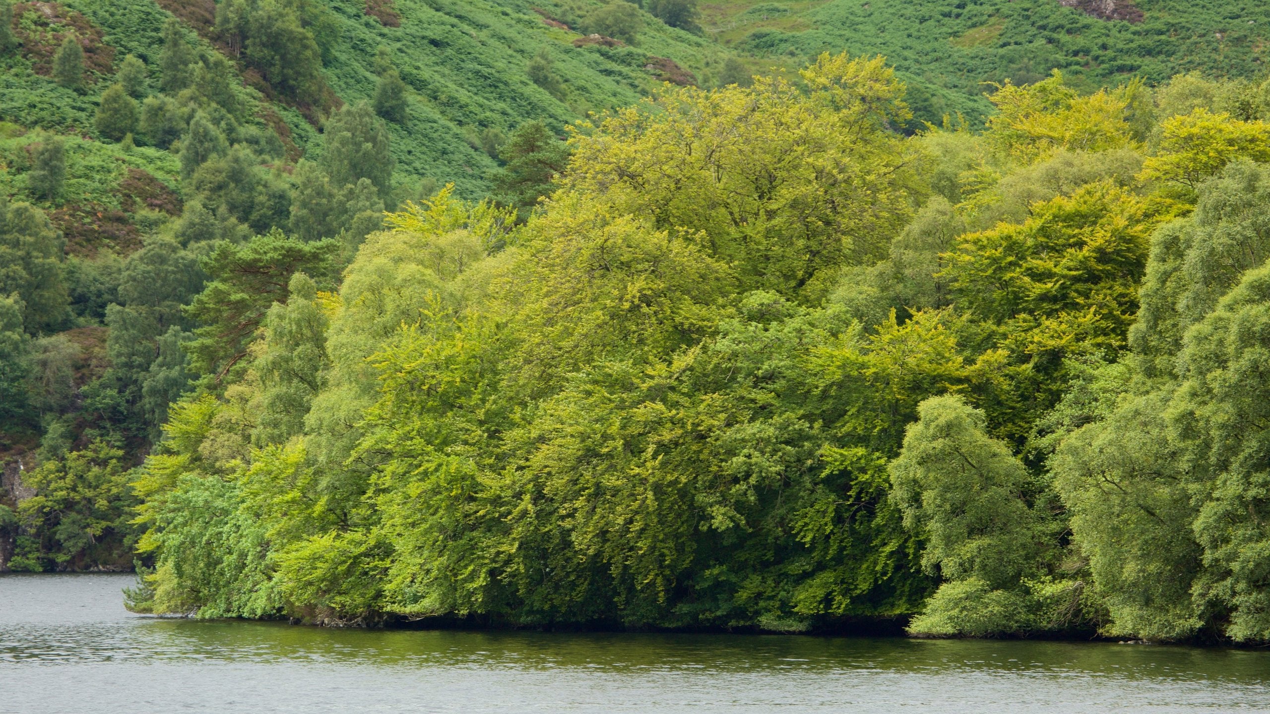 Visit Callander: 2025 Travel Guide for Callander, Scotland