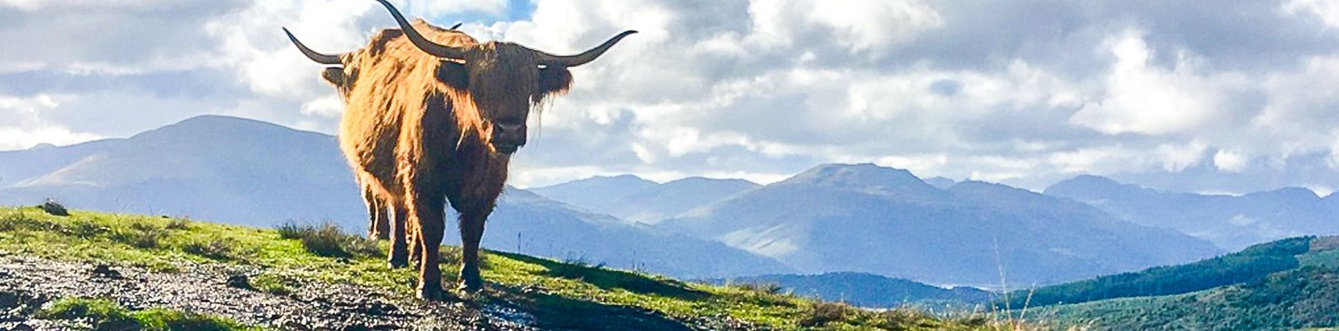 Callander Crags Walk (Loch Lomond & The Trossachs, Scotland)